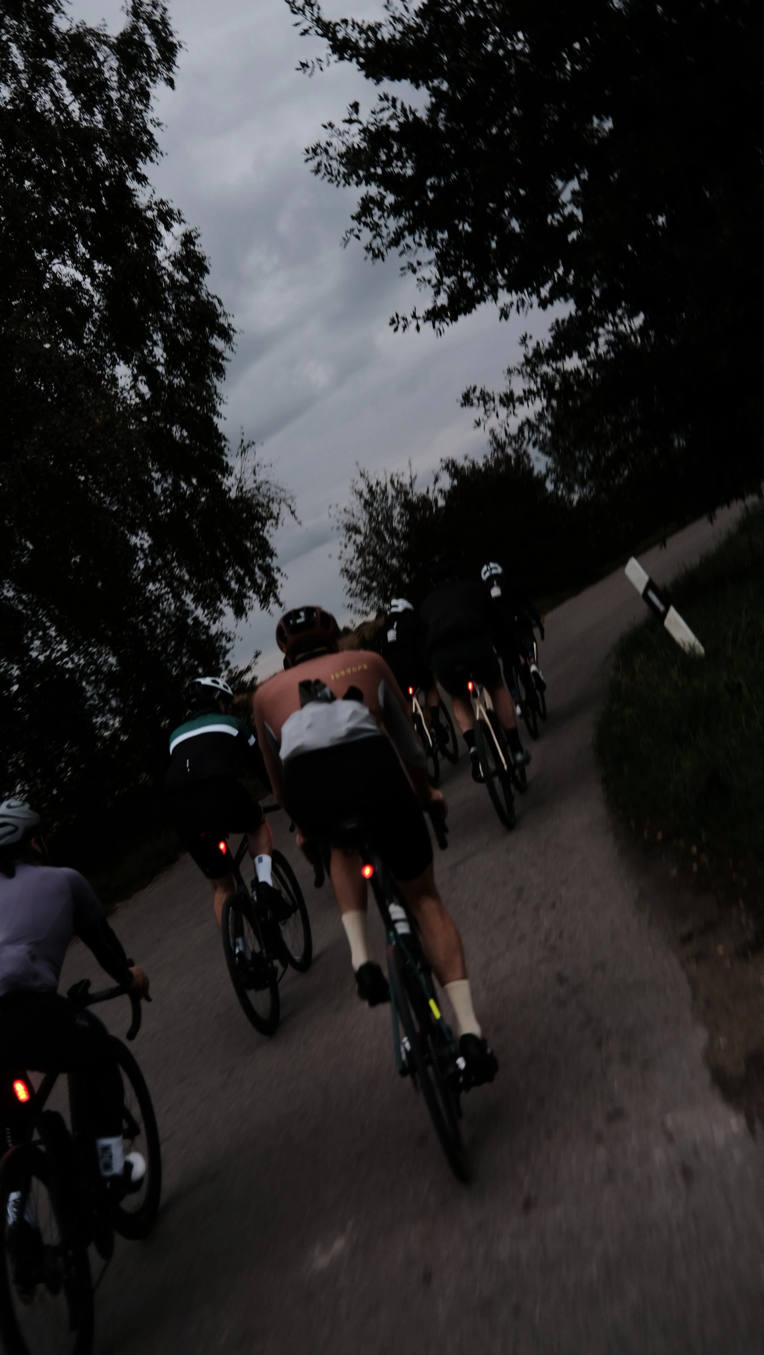 DSCF6339.JPG