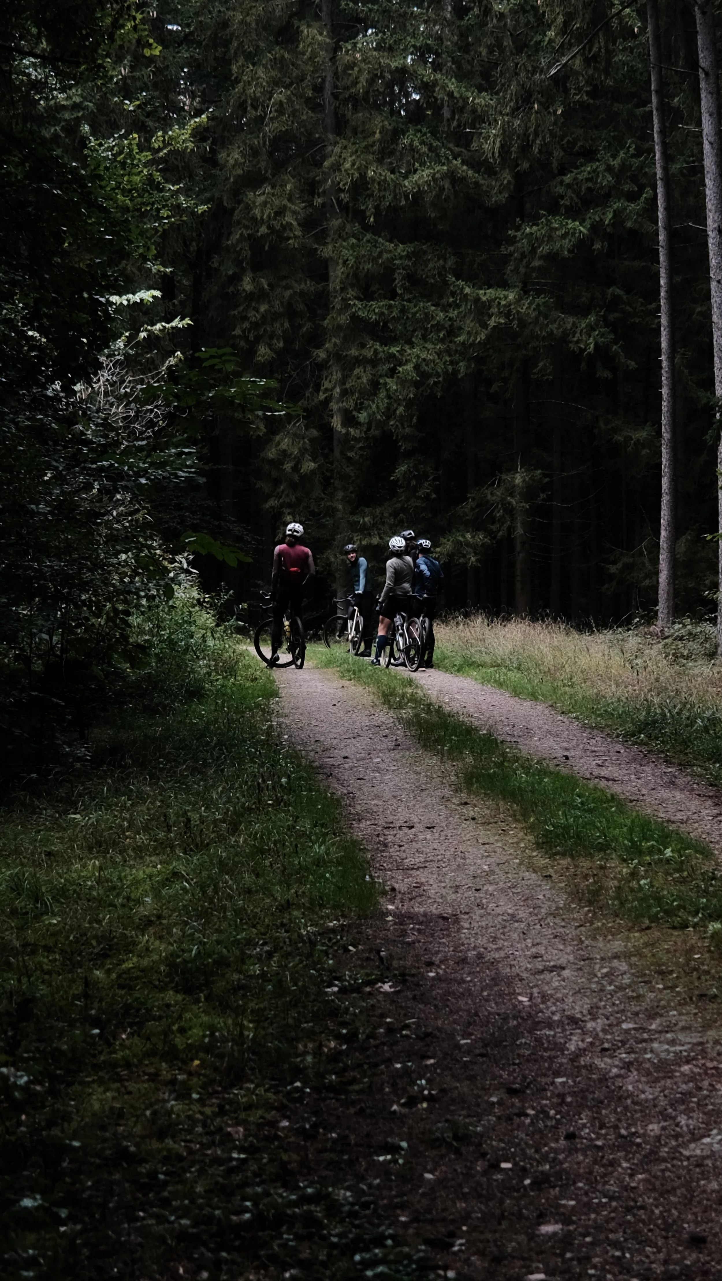 DSCF6431.JPG