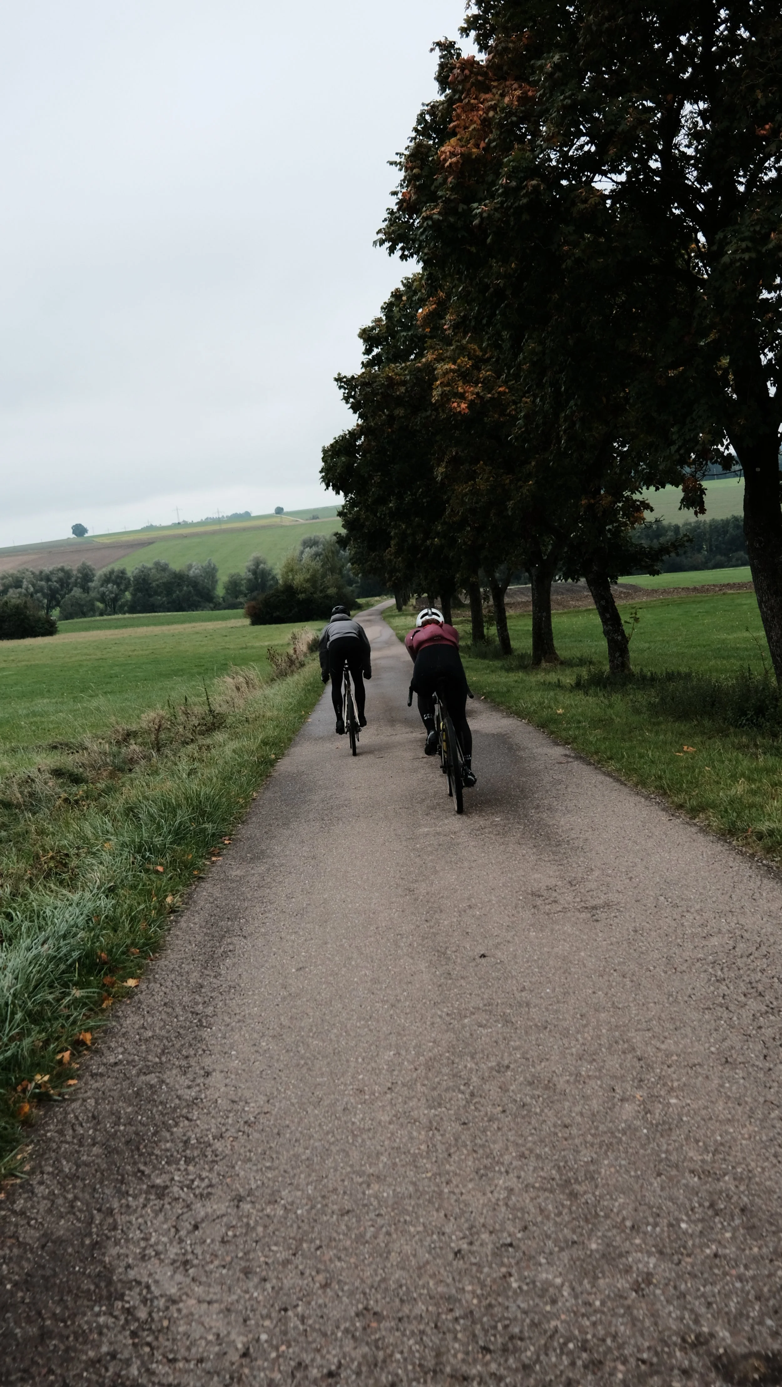 DSCF6446.JPG