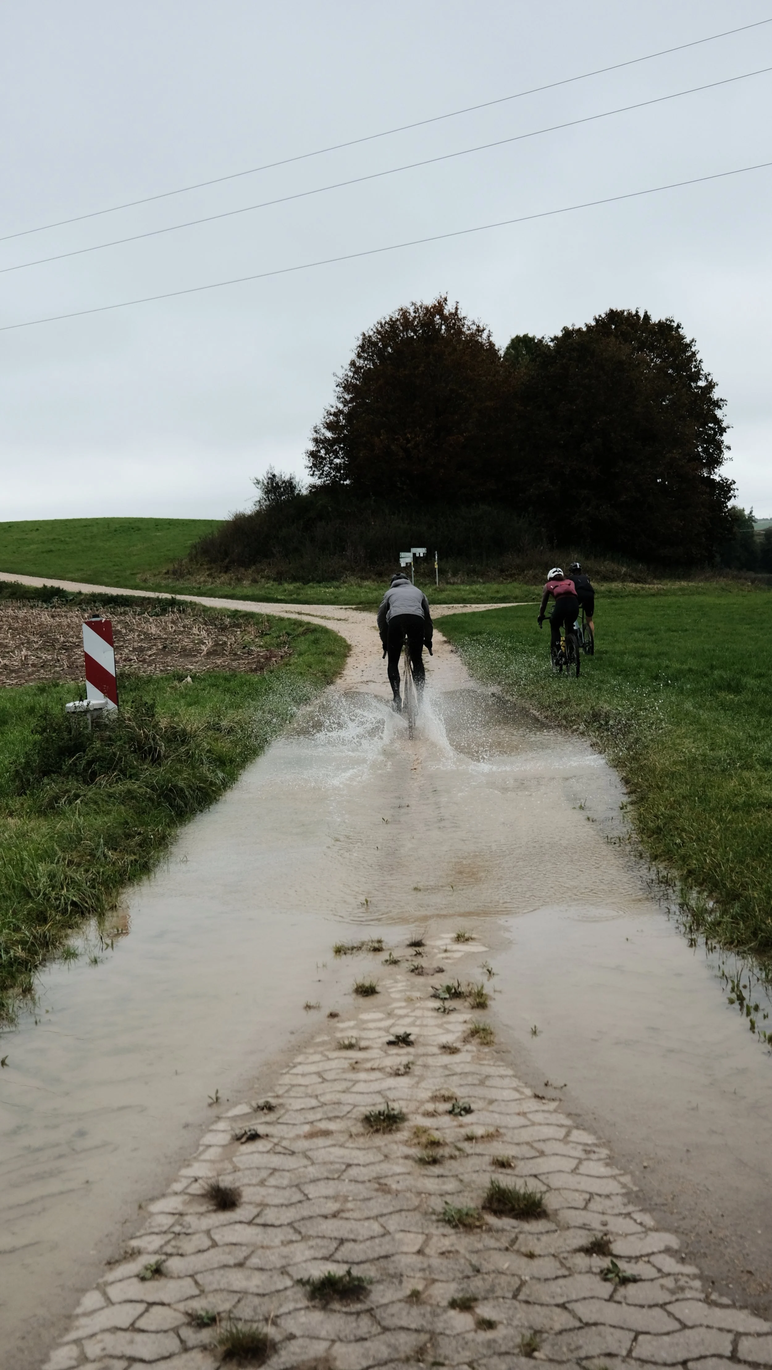 DSCF6468.JPG