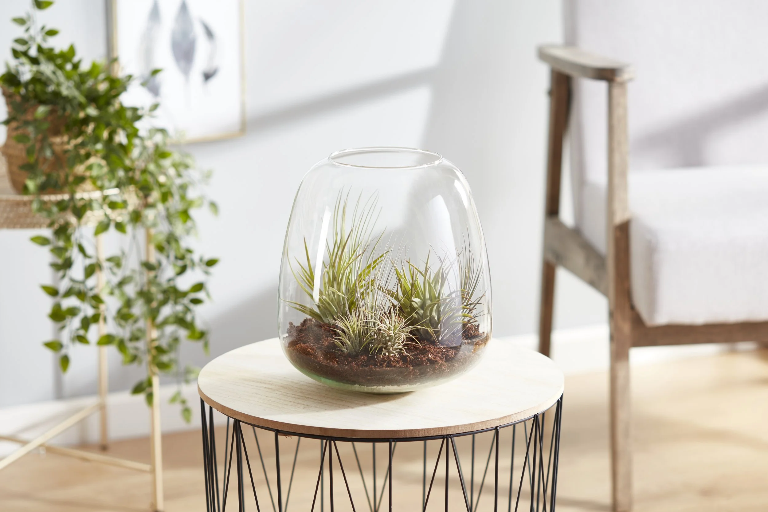 KB9615 Plant Puzzle Terrarium LS 4.jpg