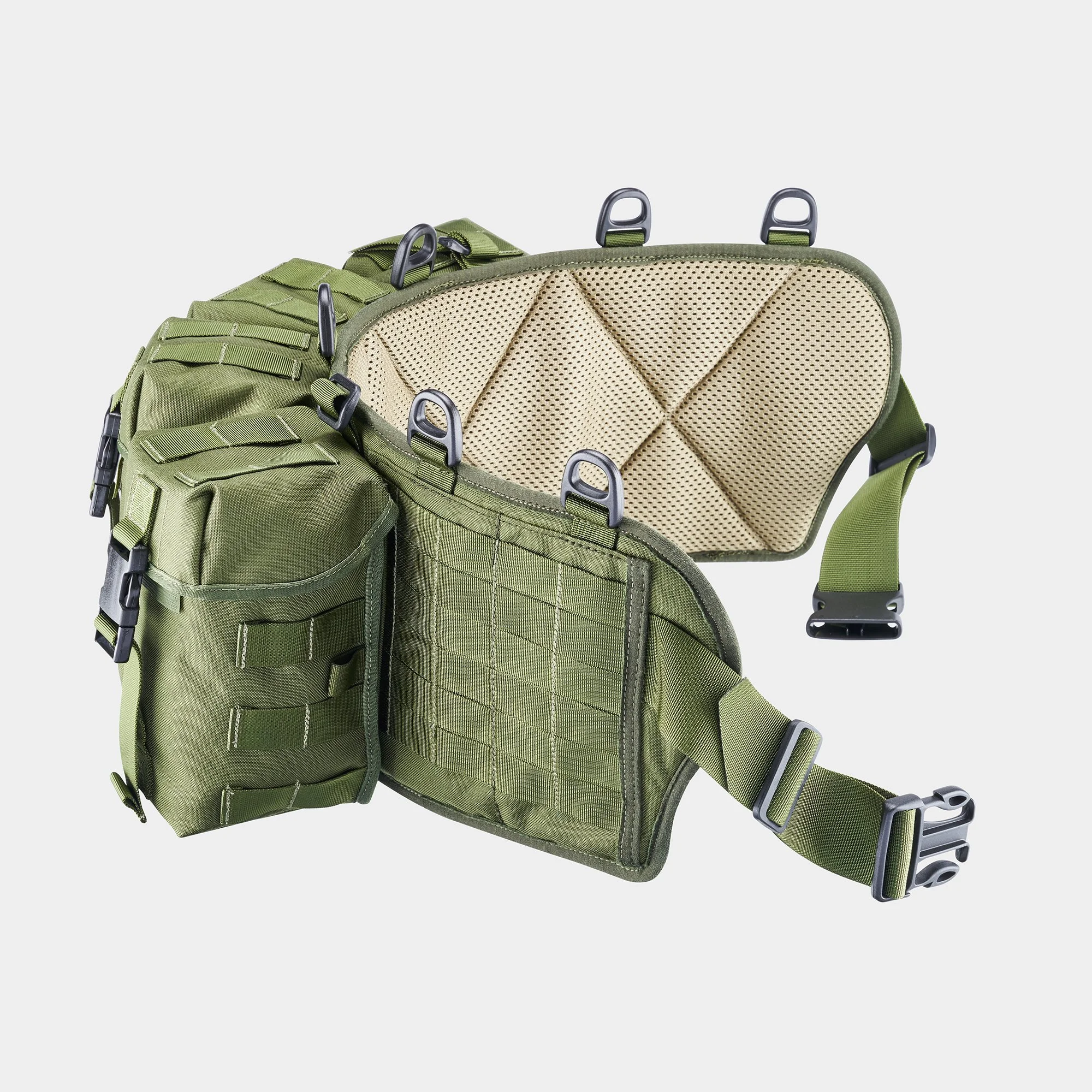 Chameleon Webbing Green CO 3 2000px.jpg