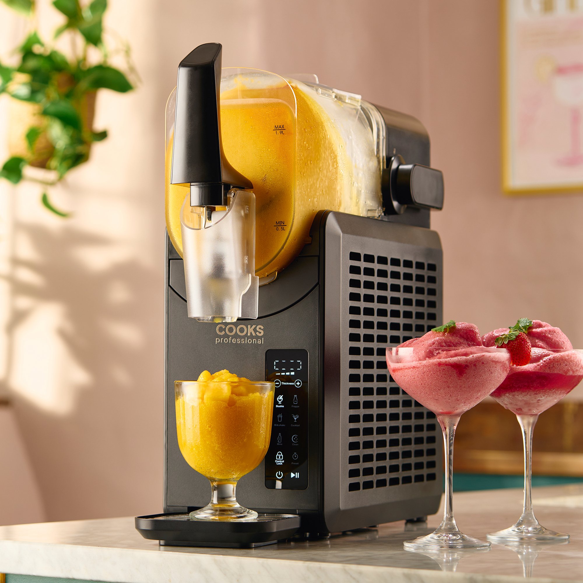 Frond -26 2000px.jpg