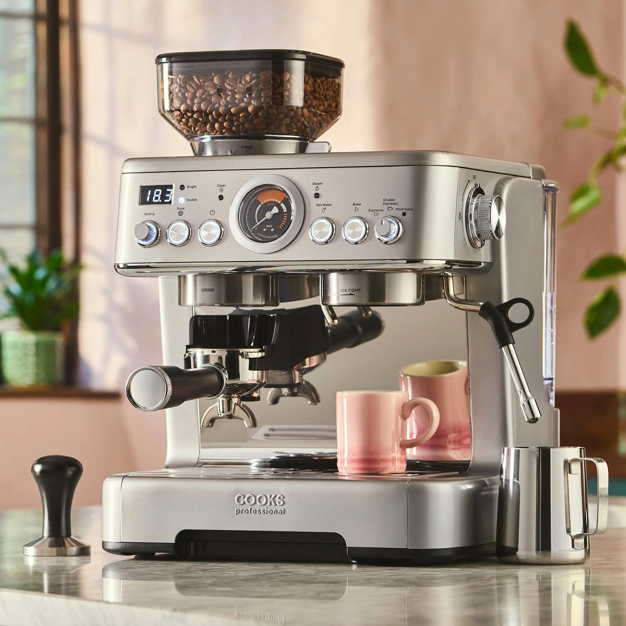 Frond -35 2000px.jpg