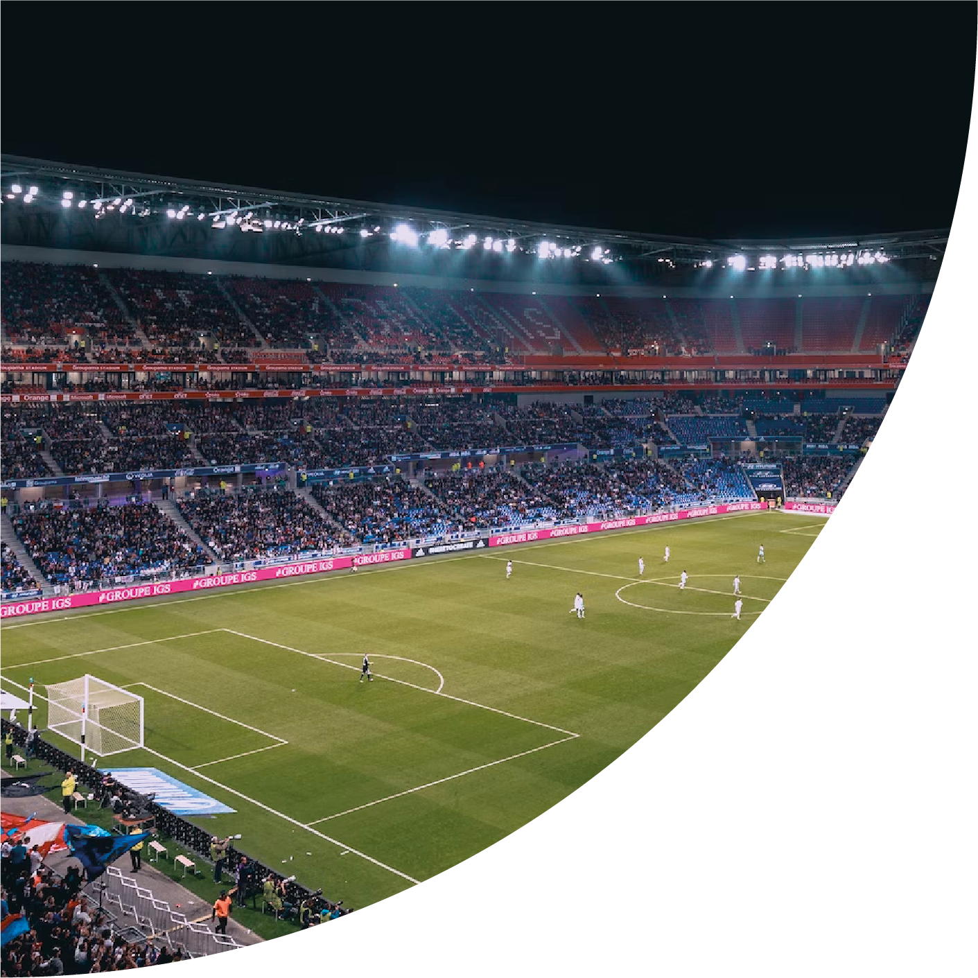 Commercial rights.png