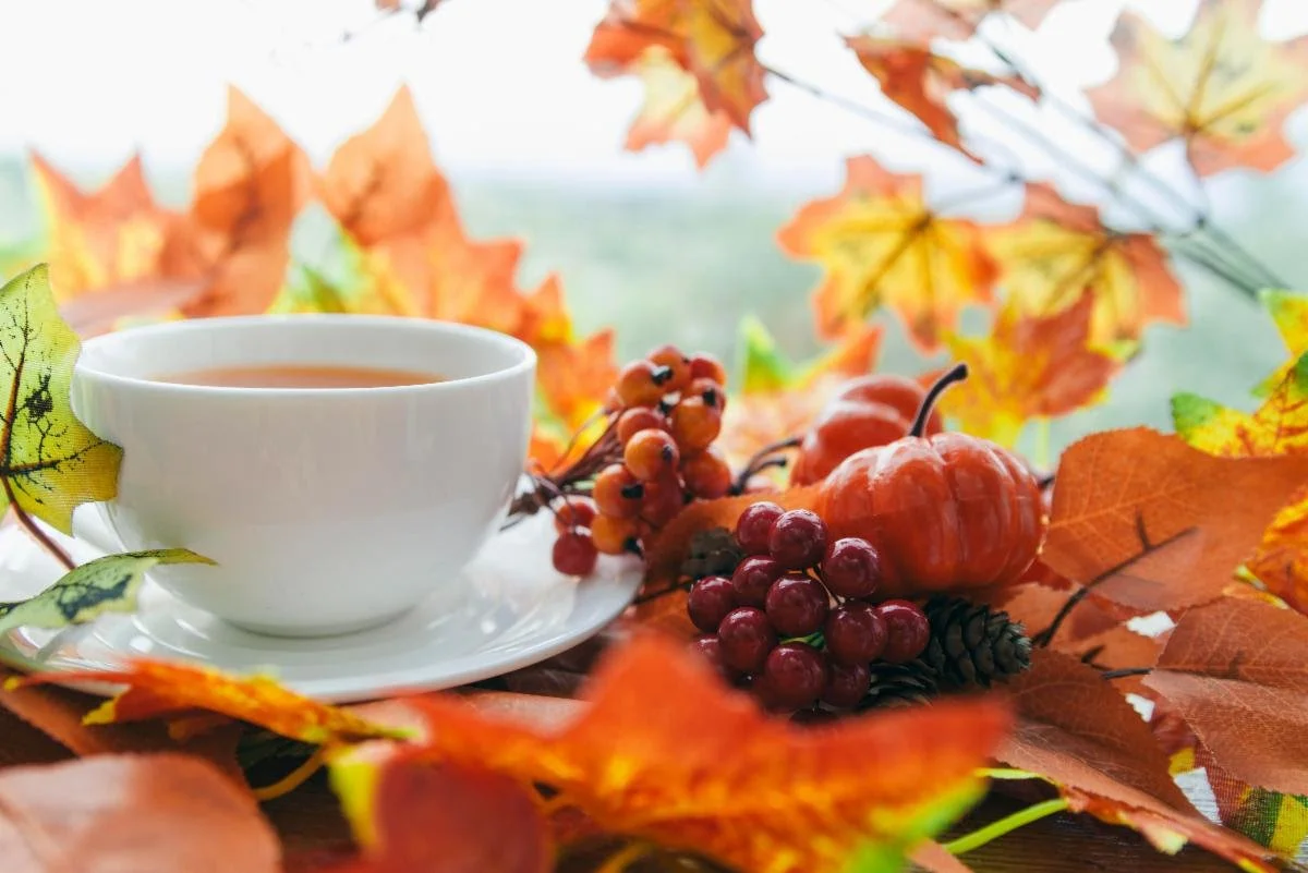 Season of Change: One-Day Shamanic Breathwork