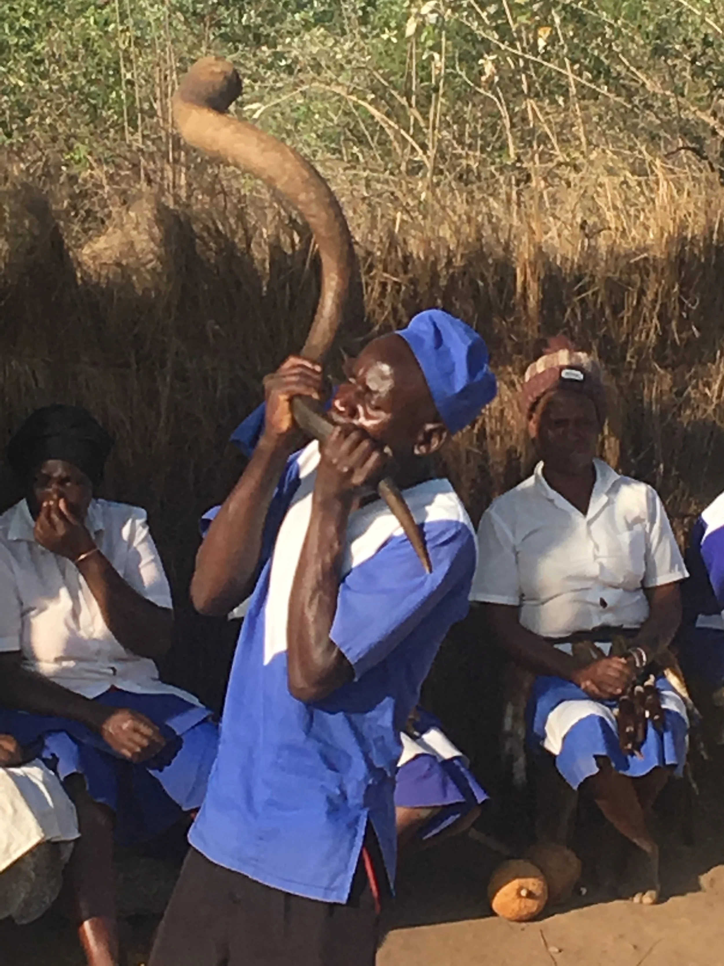 Great Zimbabe Dancers_Musicans.JPG