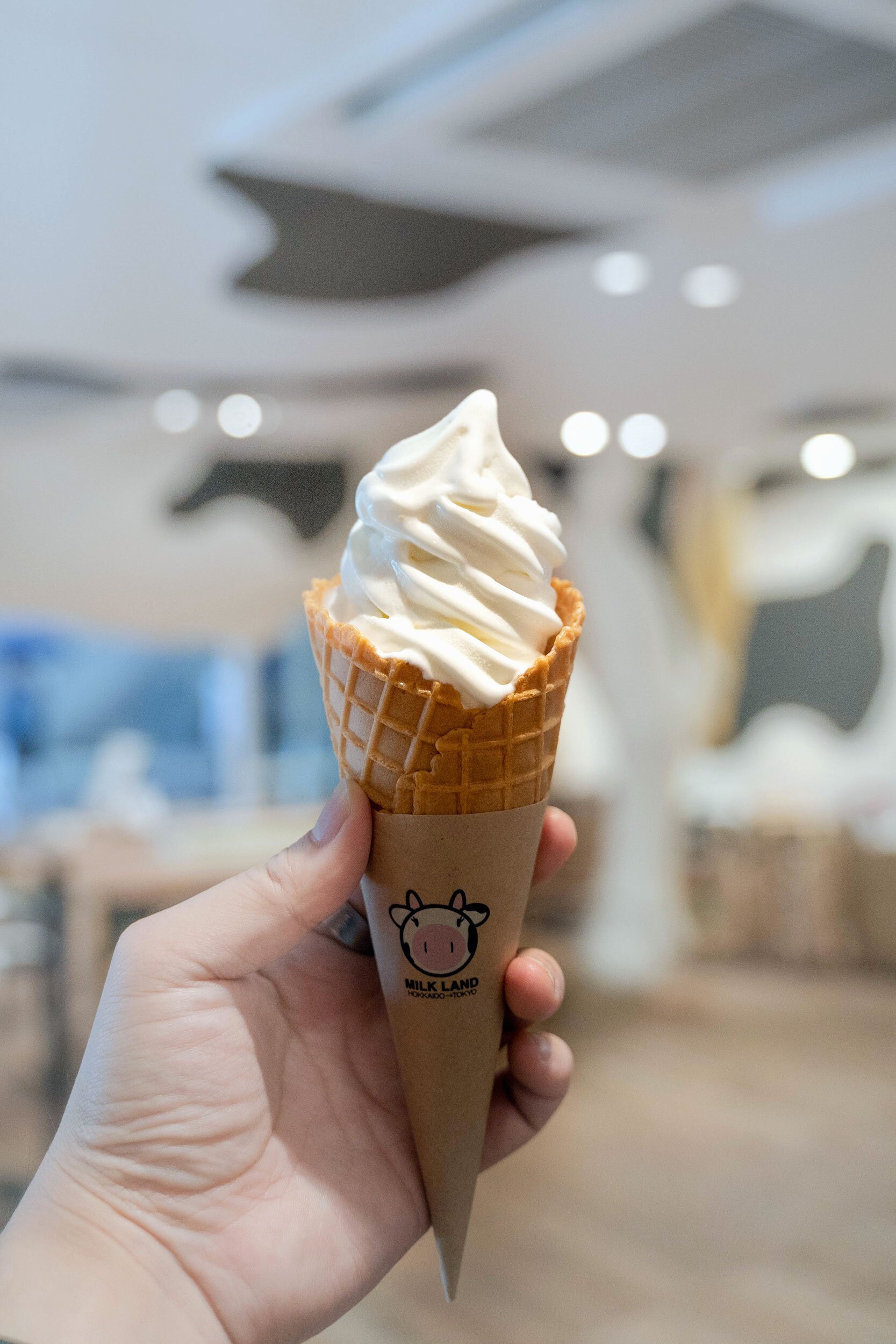 Hokkaido soft serve ice cream