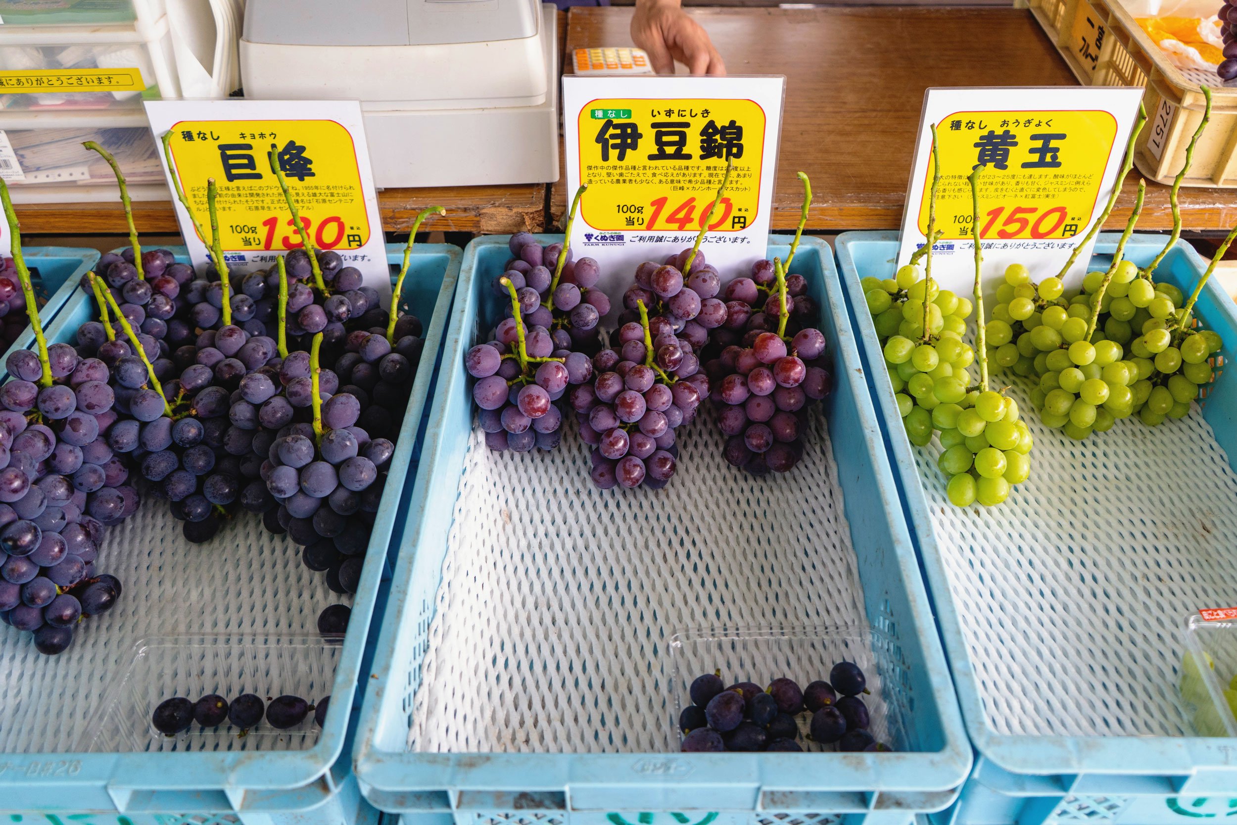 yamanashi-grapes-08.jpg