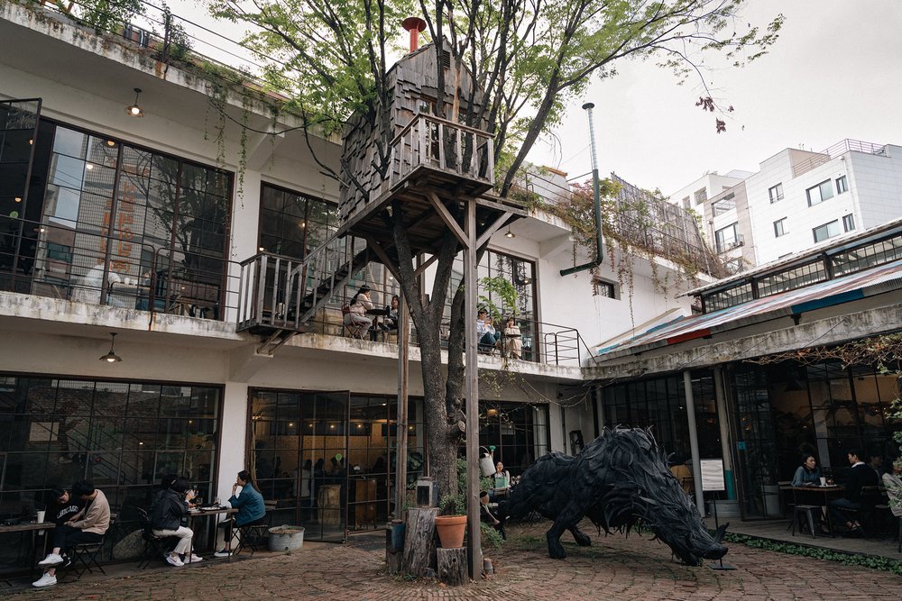 Courtyard and treehouse