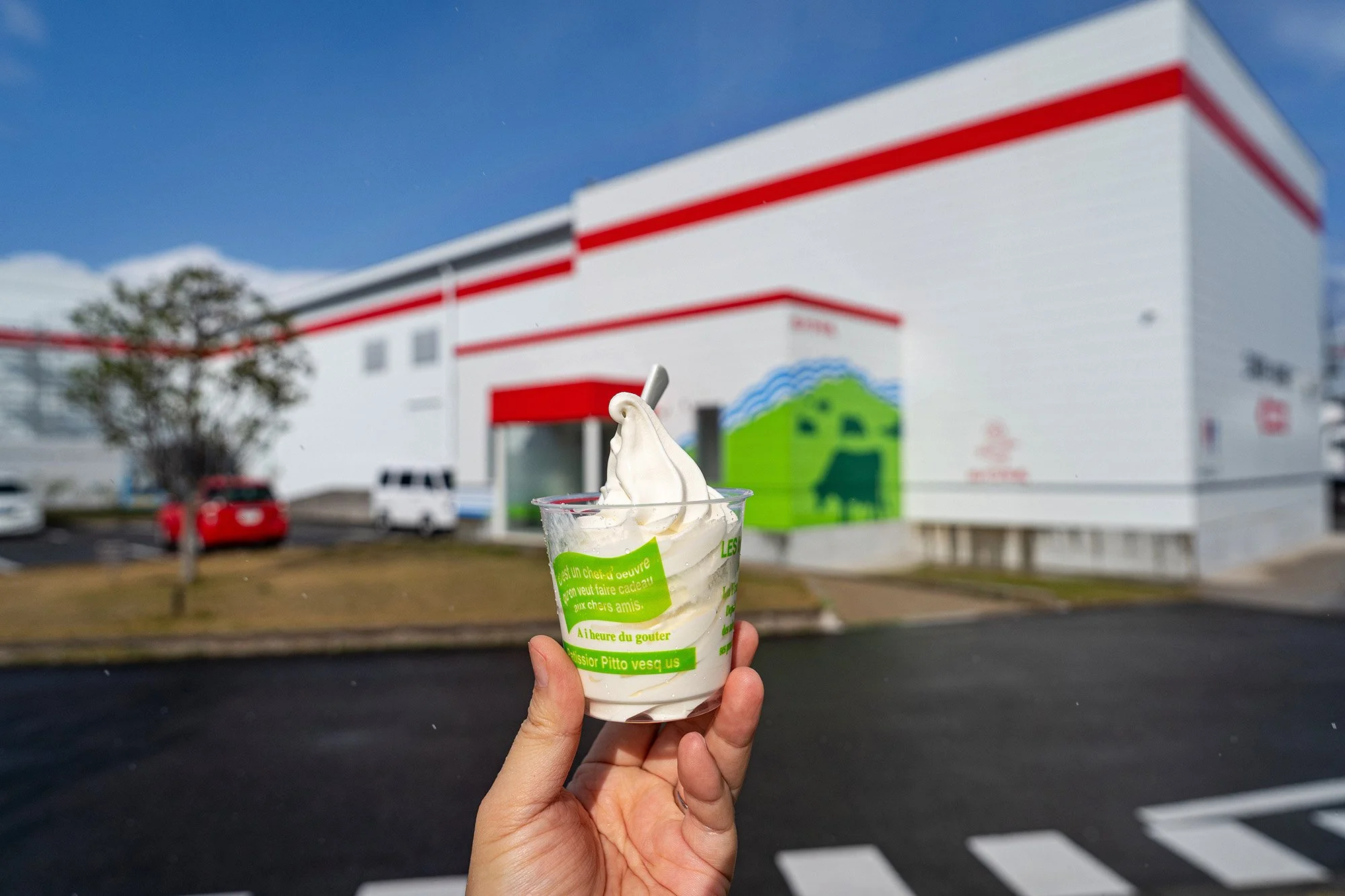 Soft-serve ice cream