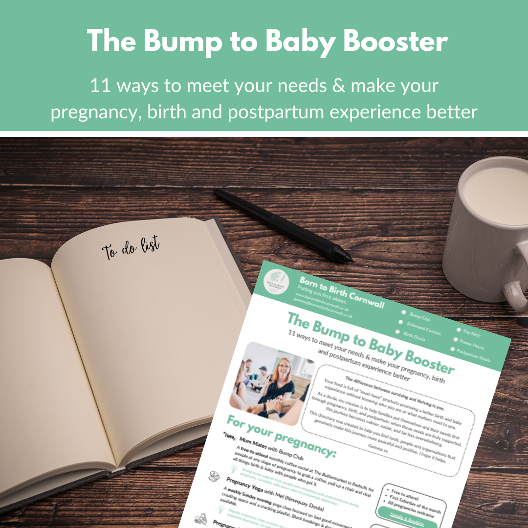 The Bump to Baby Booster