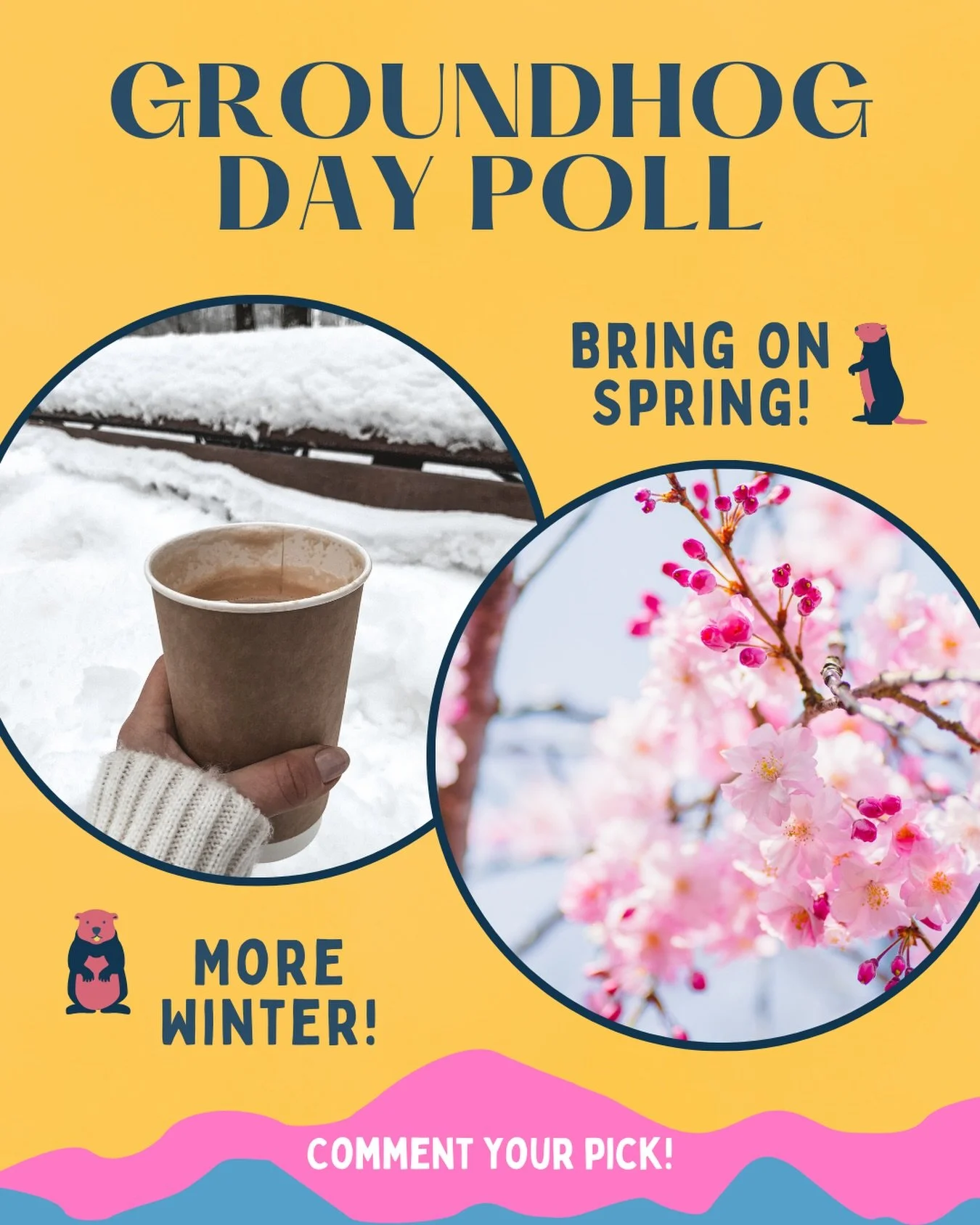 It&rsquo;s #GroundHogDay! Are we leaning into six more weeks of winter ❄️ or manifesting an early spring 🌷? Cast your vote in the comments below!