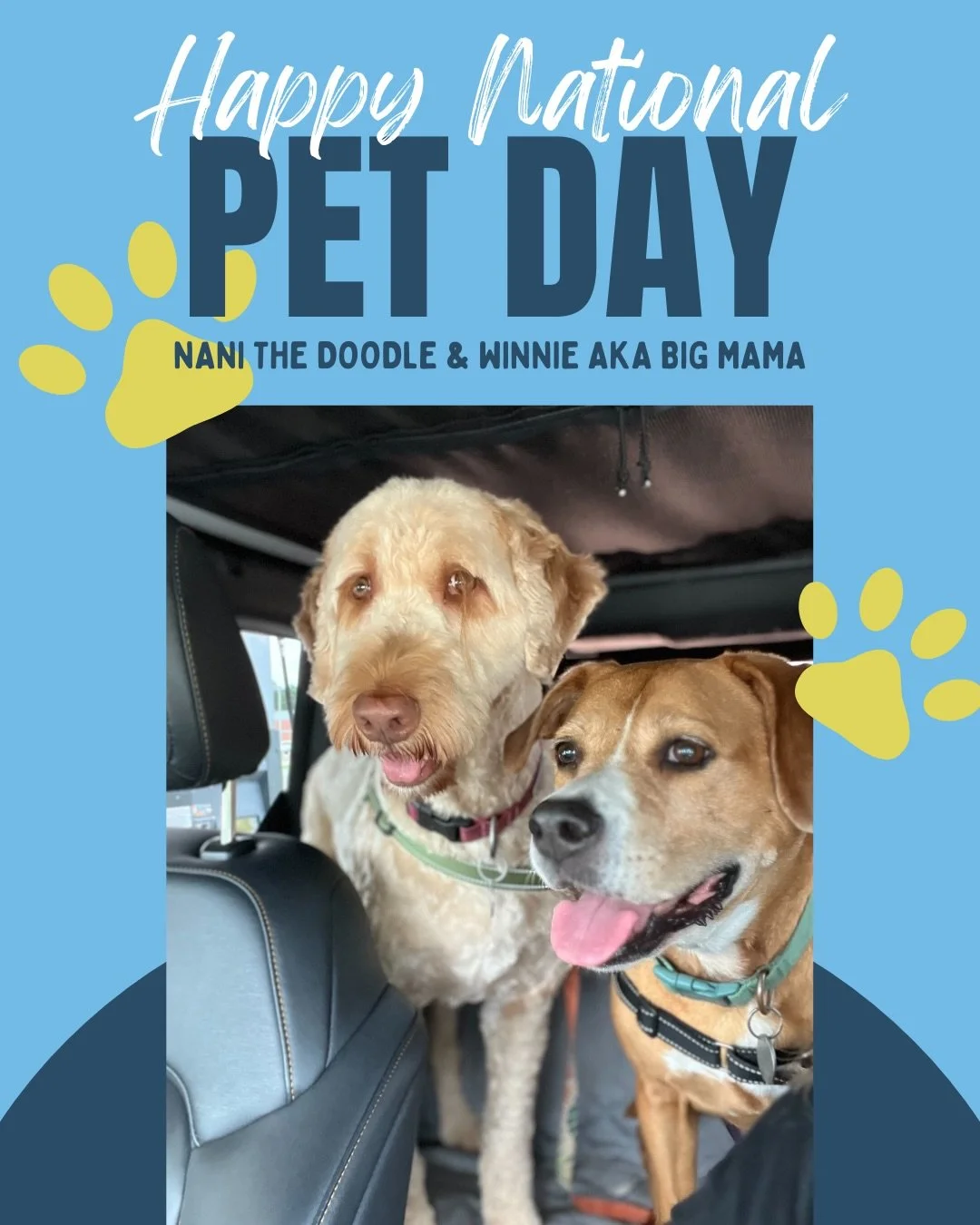 At Loop, we believe in community, and that includes the four‑legged coworkers who keep us grounded, joyful, and occasionally covered in fur. Our pets remind us daily to pause, play, and find joy in the small things, the same energy we bring to every 