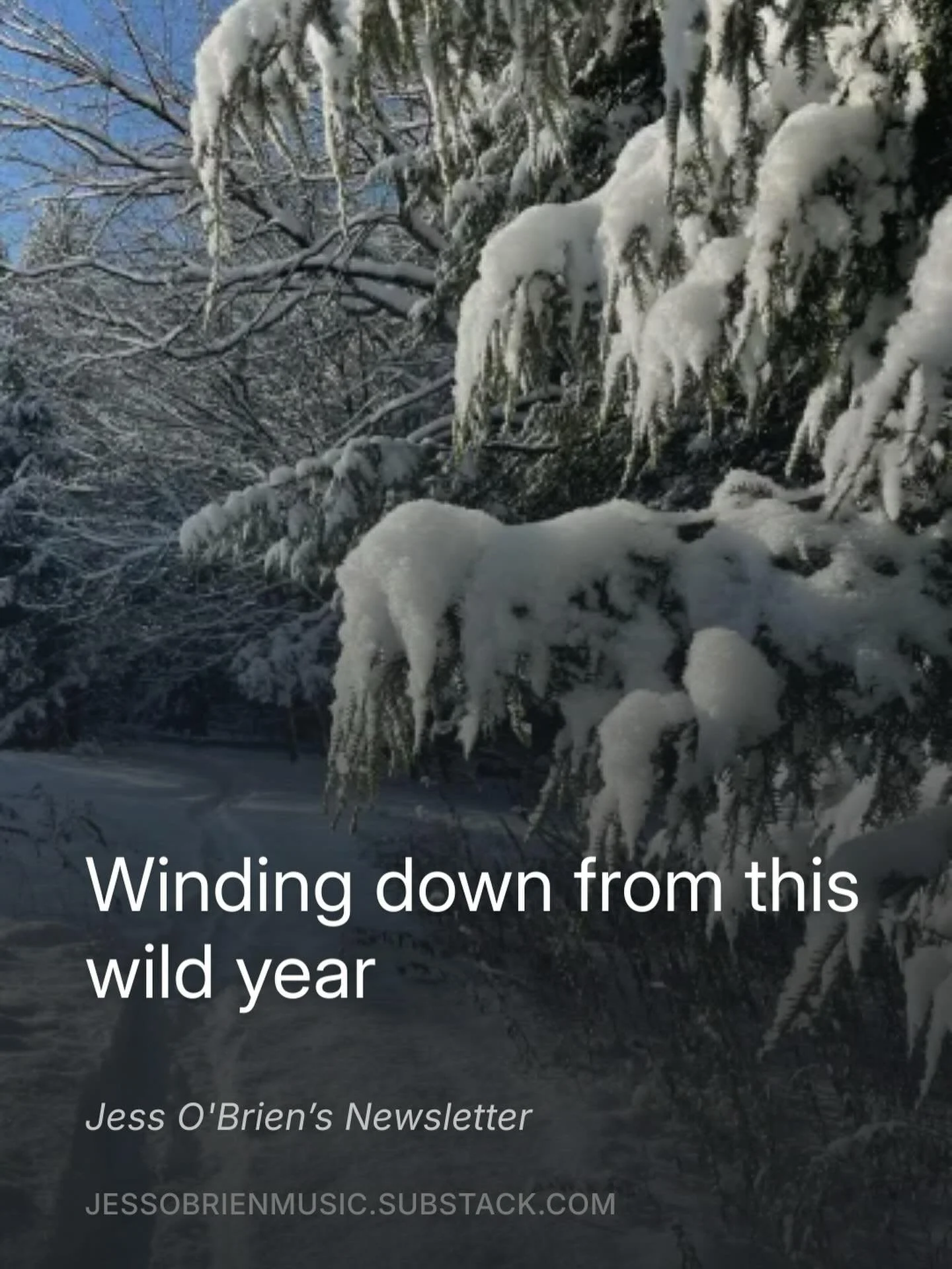 &hellip; and settling into a soft and snowy winter.

Creating emptiness. Tech reorientation. Physical media. 
Busy hands. Open hearts. And of course, a huge thank you to everyone who supported my music this year! 💘

Some updates over on Substack, wh