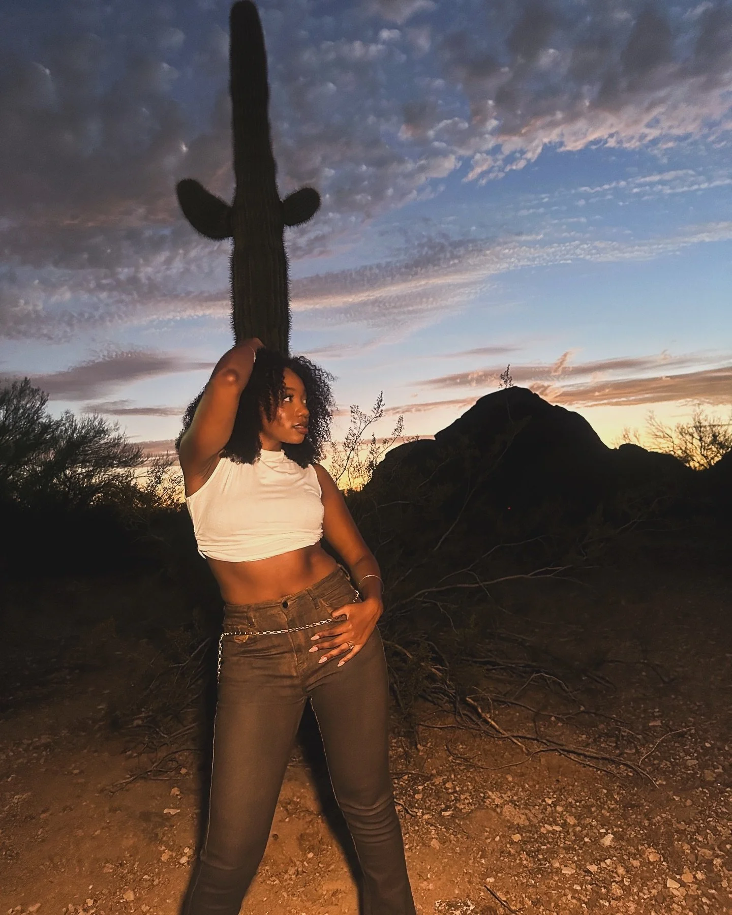 where the wild things are 🏜️