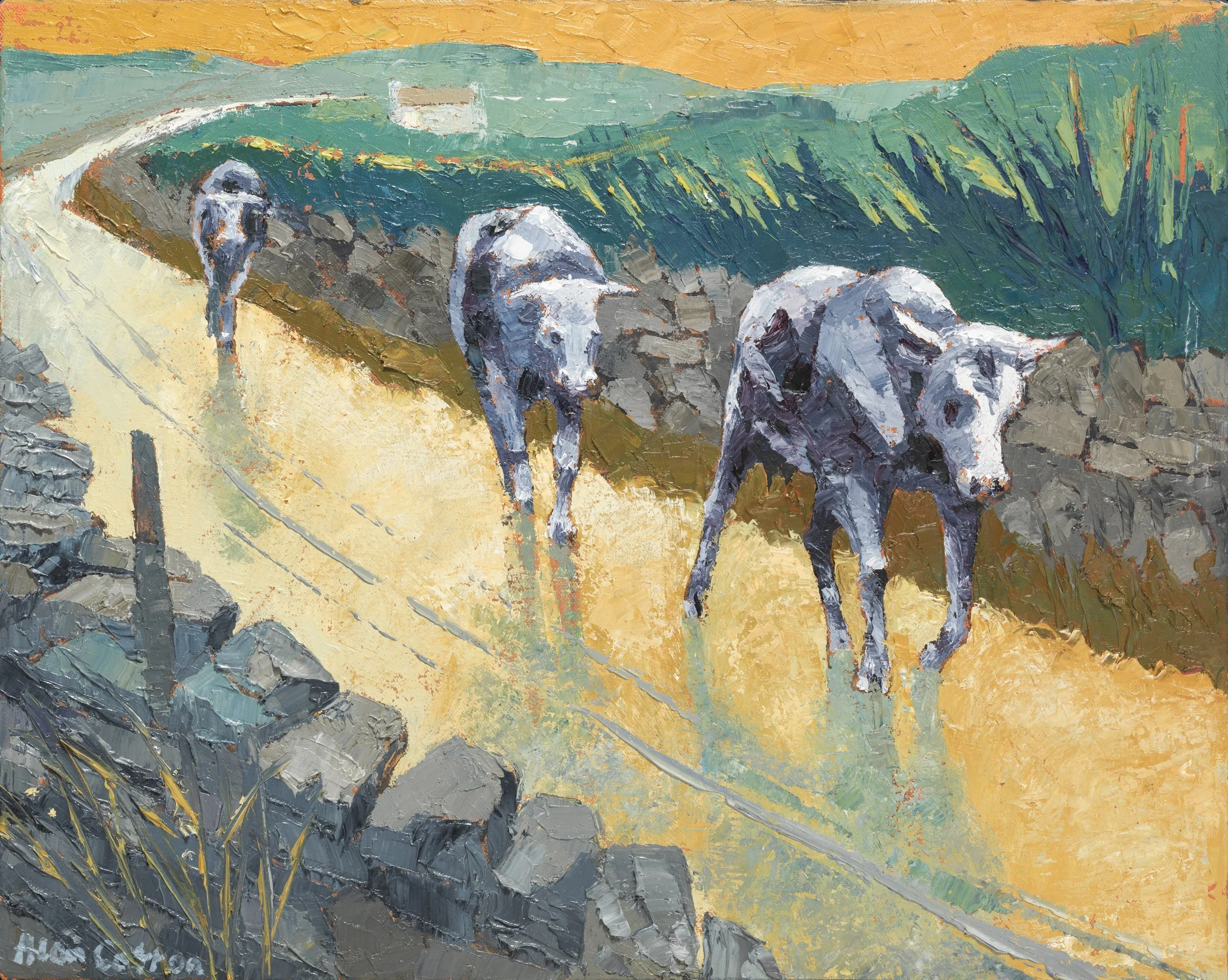 ALAN COTTON | LIGHT IS LIFE