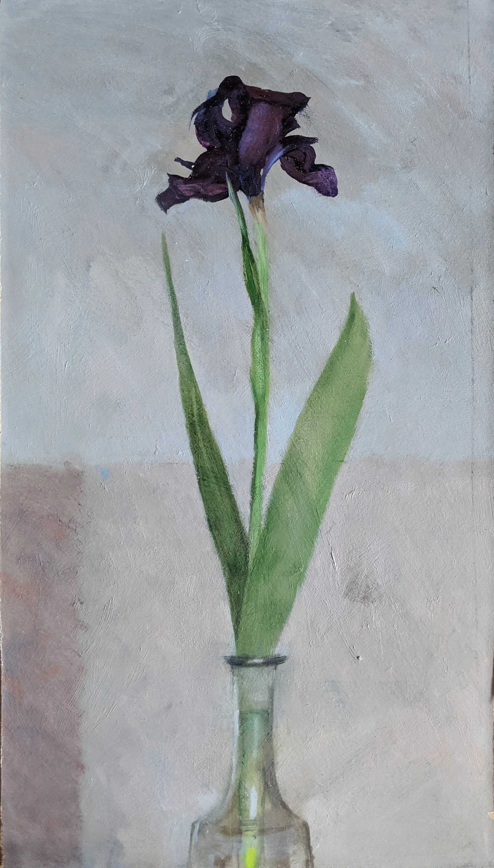 William Packer (b. 1940), , Purple Iris, 2025. Oil on card