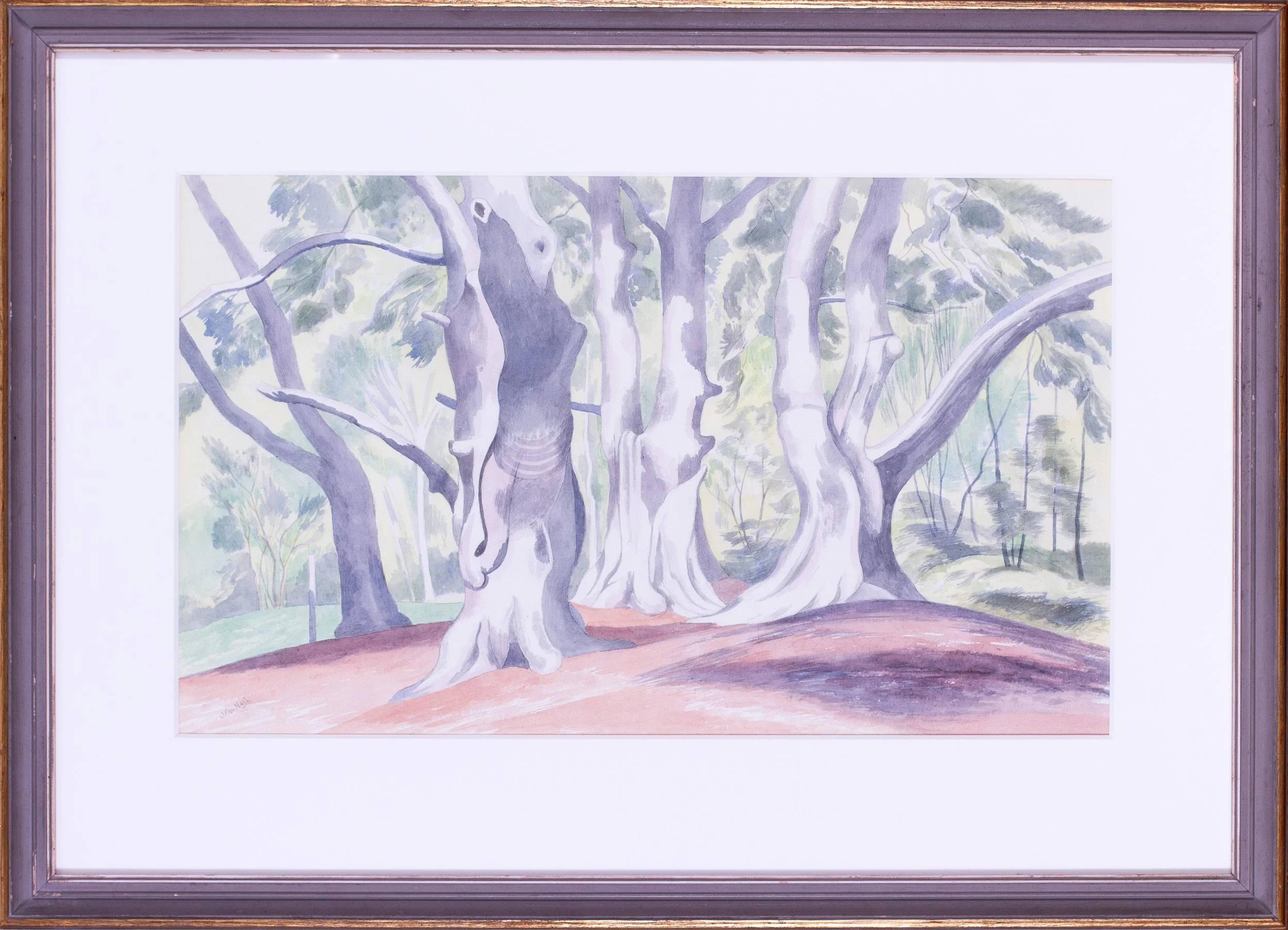 John Northcote Nash (1893 - 1977), A group of beech trees. Pencil and watercolour on paper, 33.7 x 56.3cm