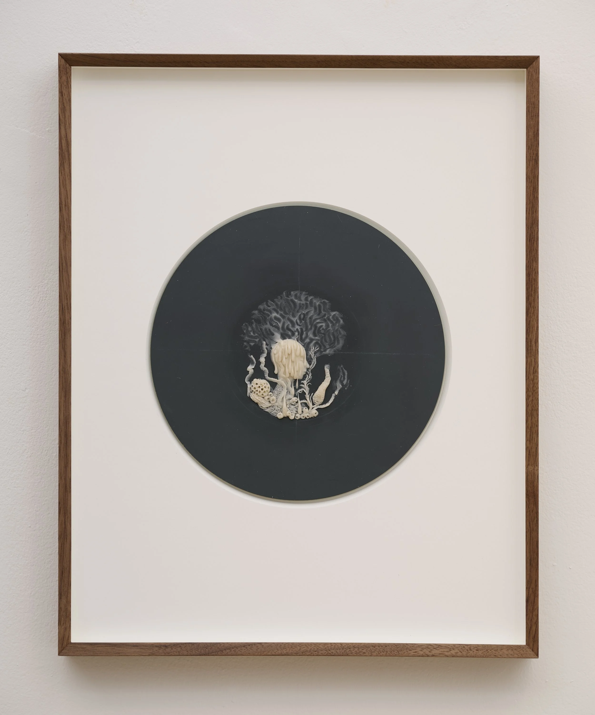 Felicity Powell (1961 - 2015), Coral Tears, c. 2009. Wax on mirror glass, 20 cm diameter,
40 x 32 cm (framed). © The Estate of Felicity Powell. Courtesy of Richard
Saltoun Gallery, London, Rome & New York.
