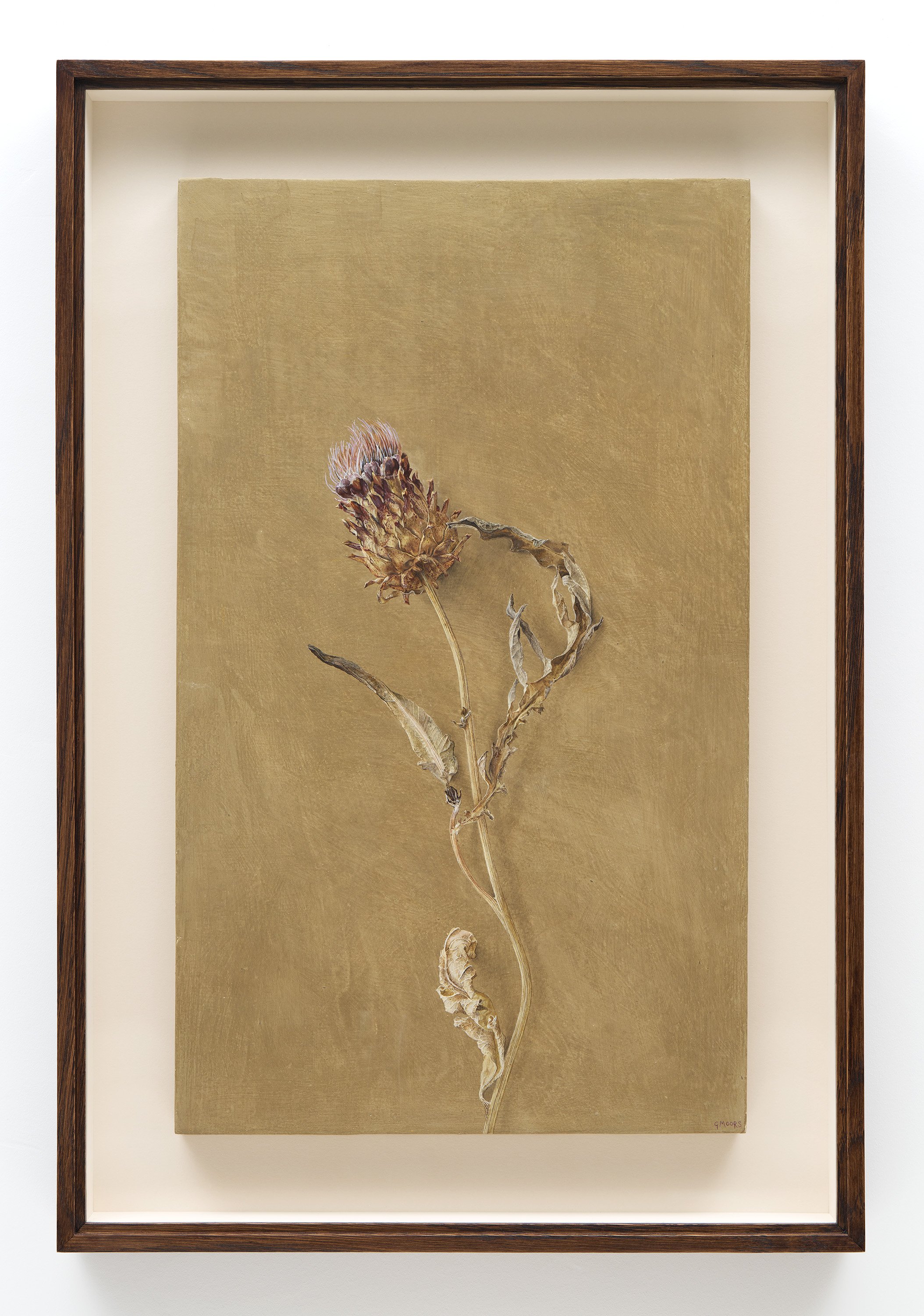 Georgia Moors, Artichoke, 2026. Egg tempera, chalk ground on poplar panel, 50 x 30cm