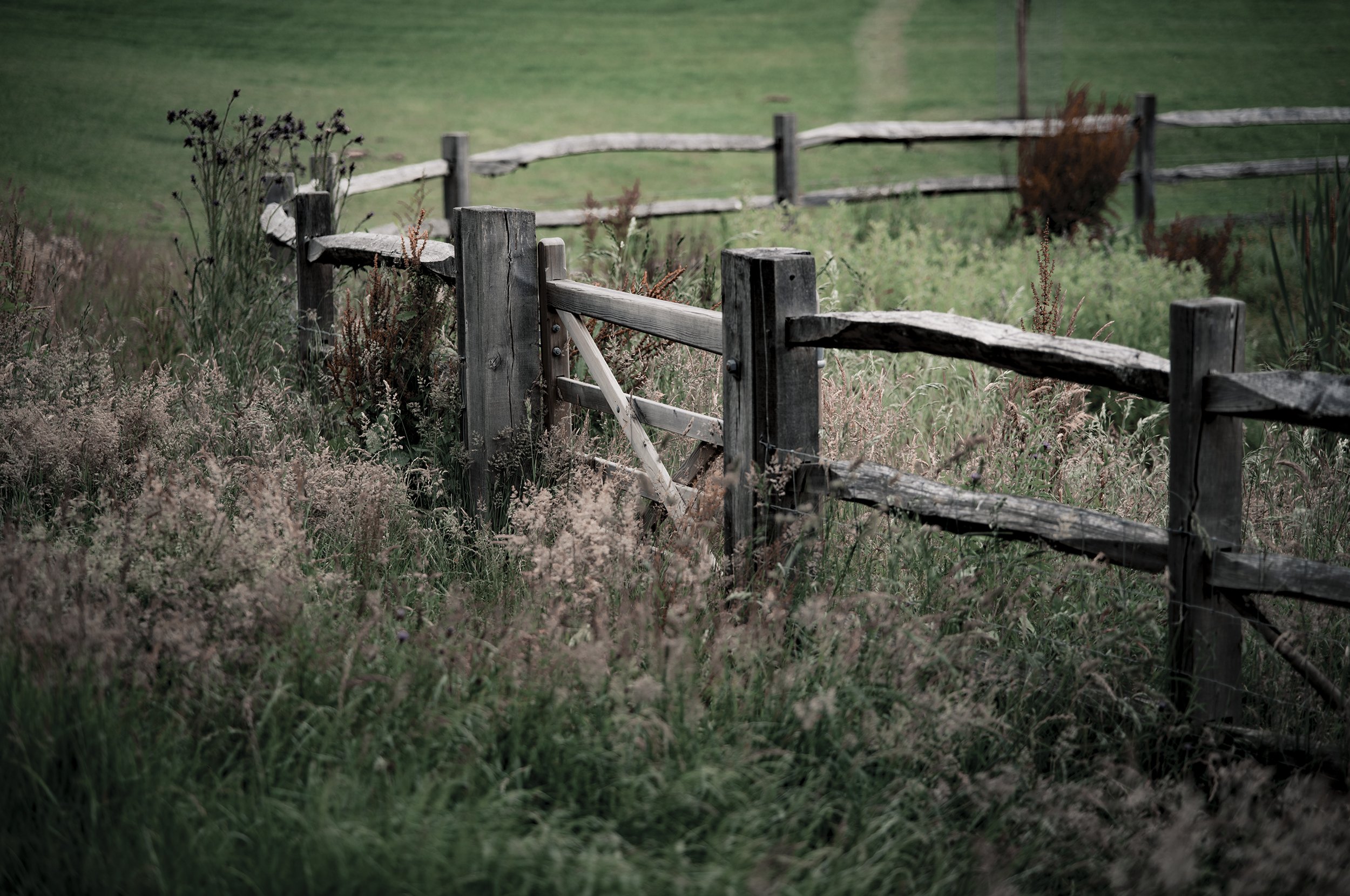 L1009850_2500.jpg