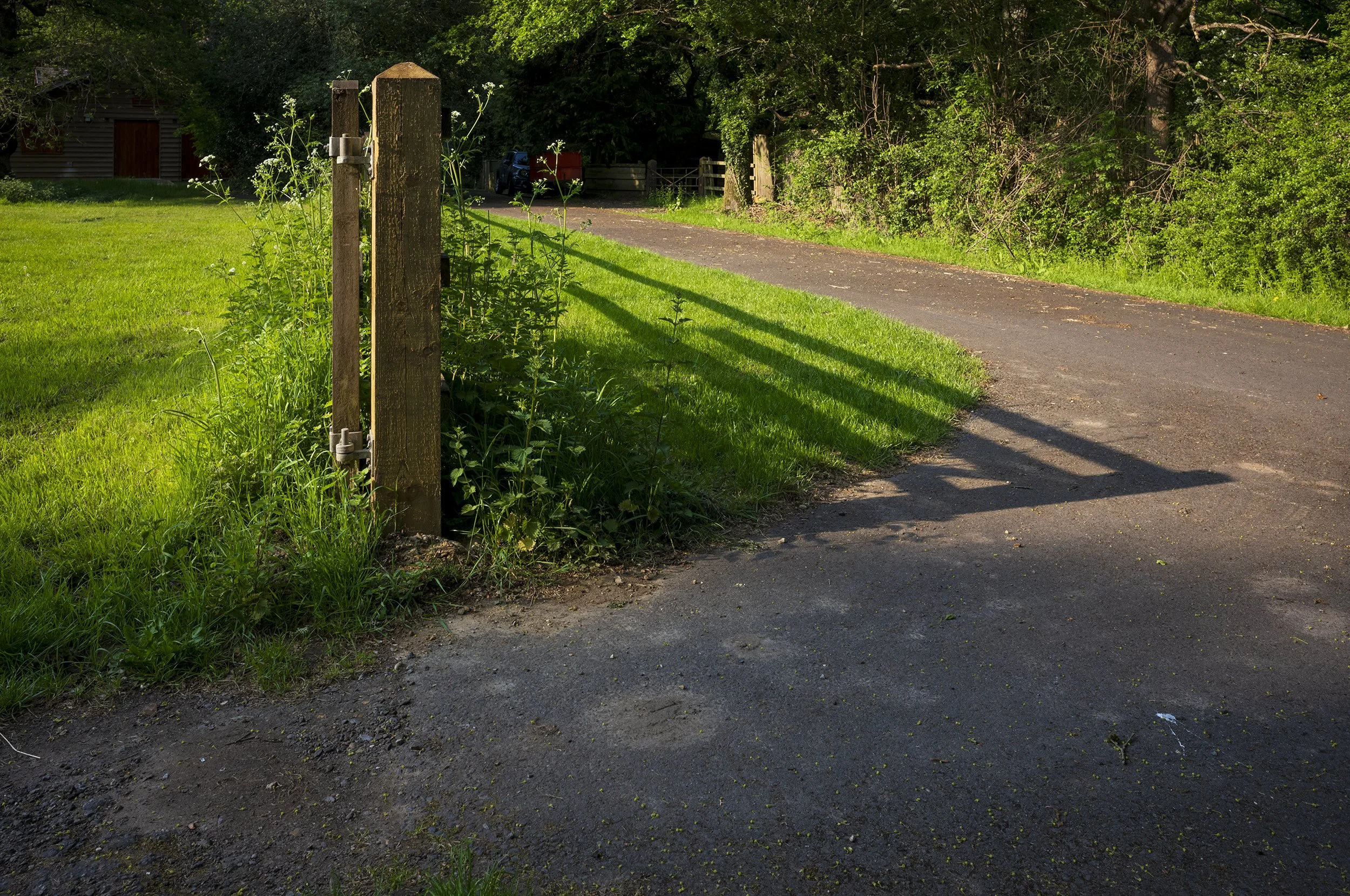 L1009347_2500.jpg