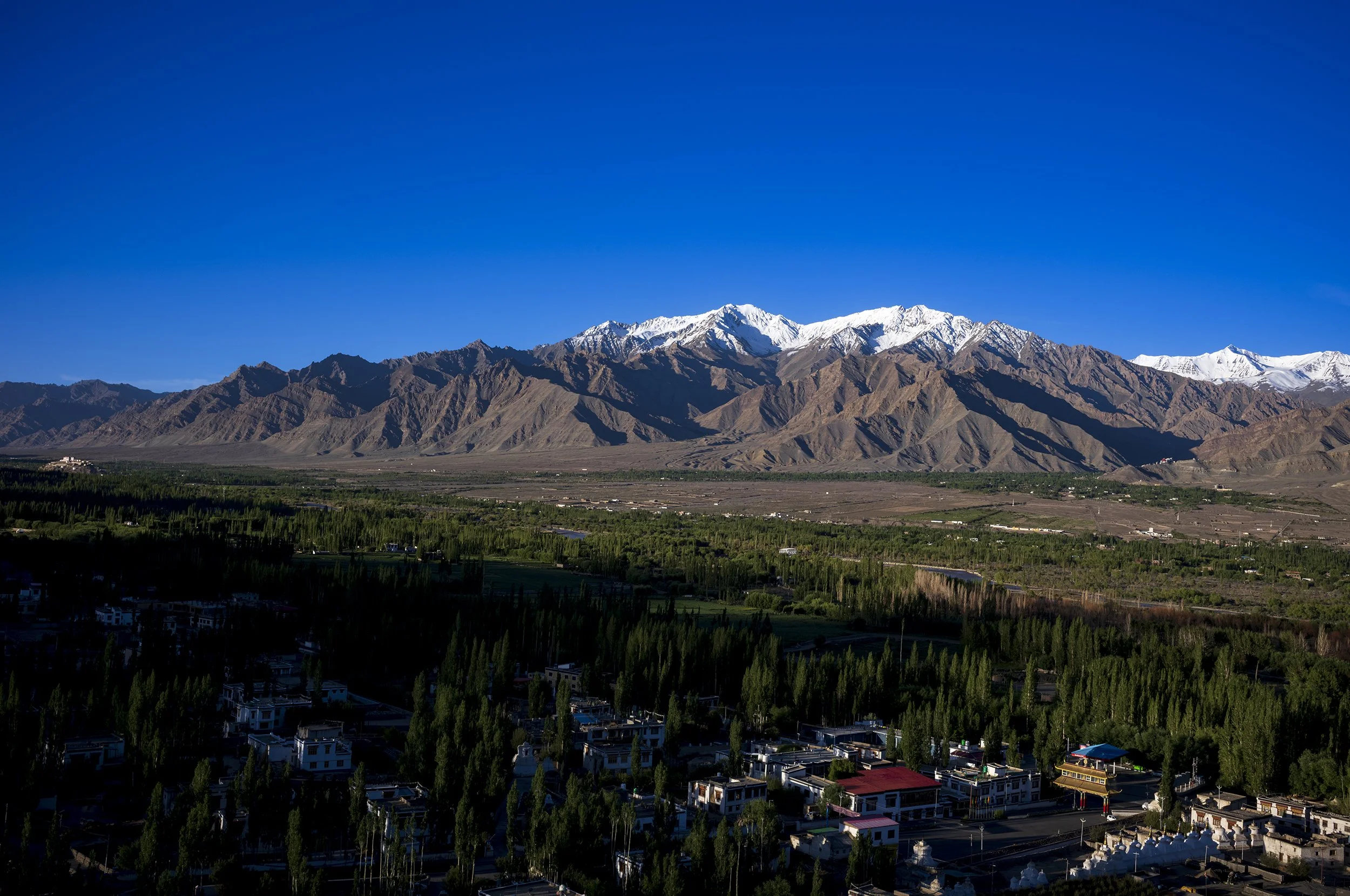 View from Thiksey monastery