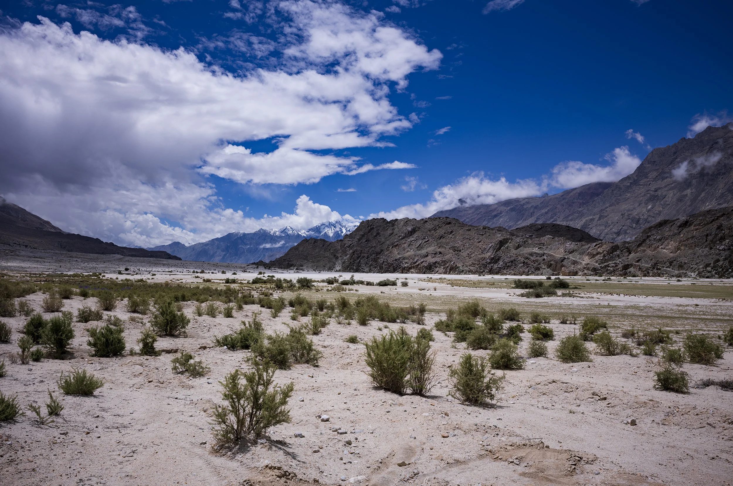 L1000590_2500.jpg