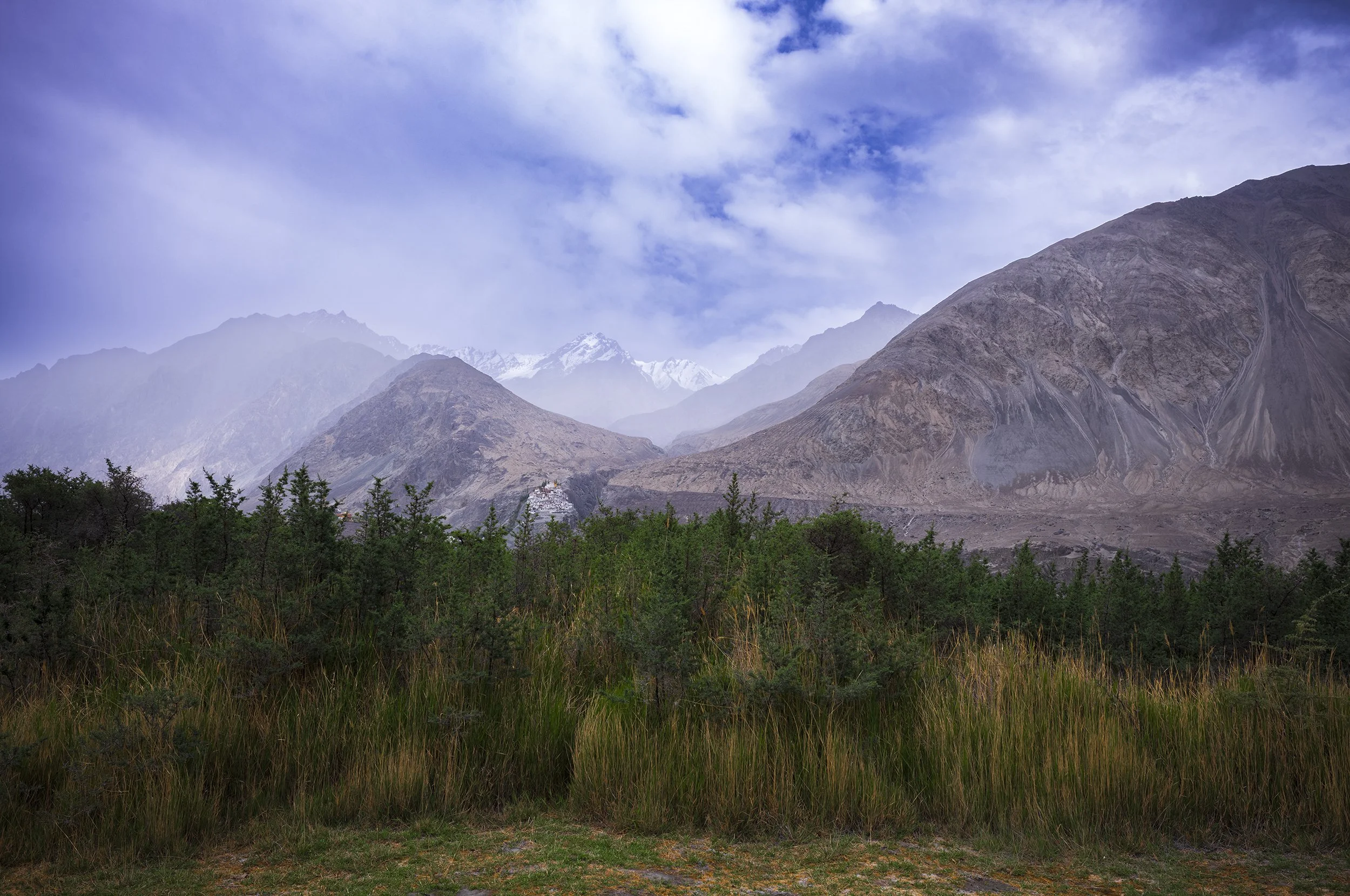 L1000539_2500.jpg