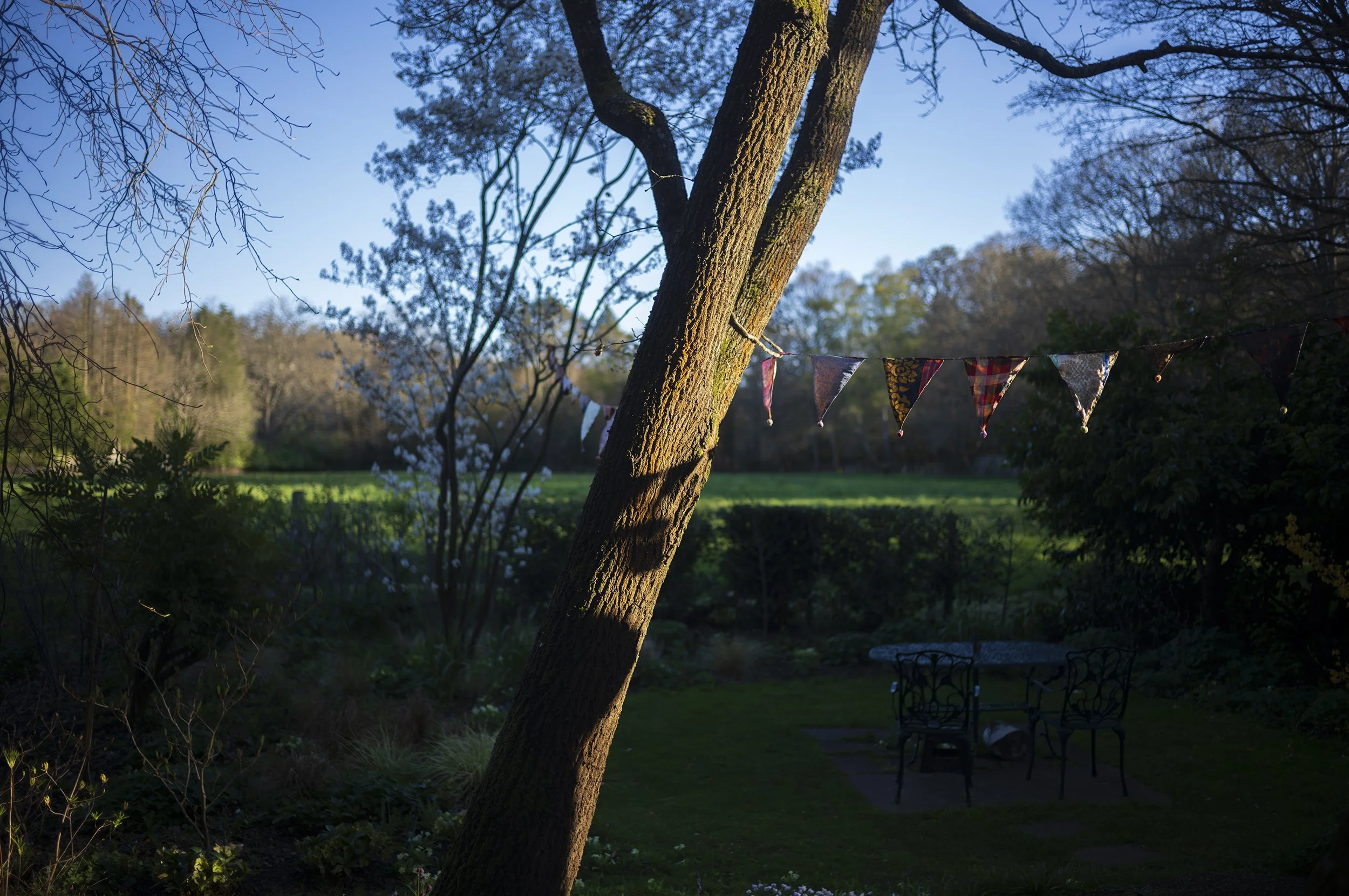 L1008745_2500.jpg