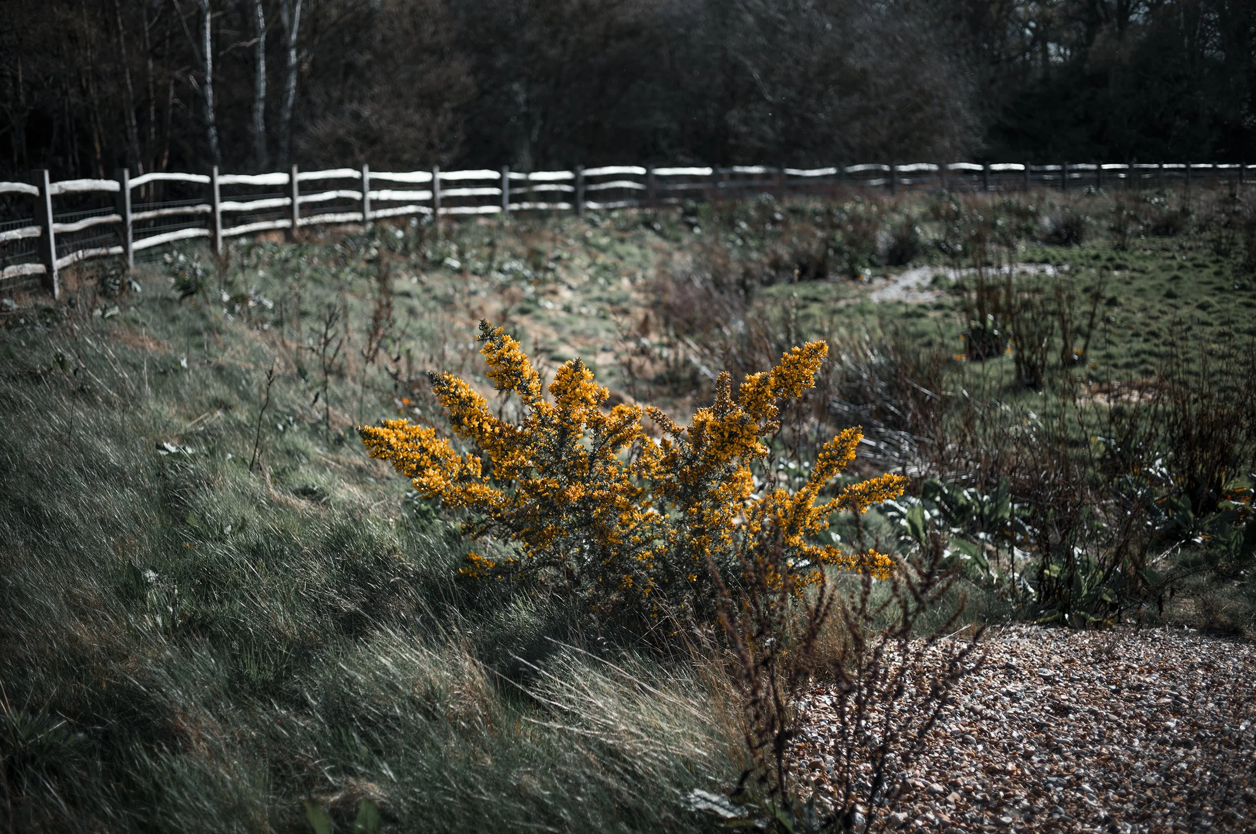 L1008487_2500.jpg