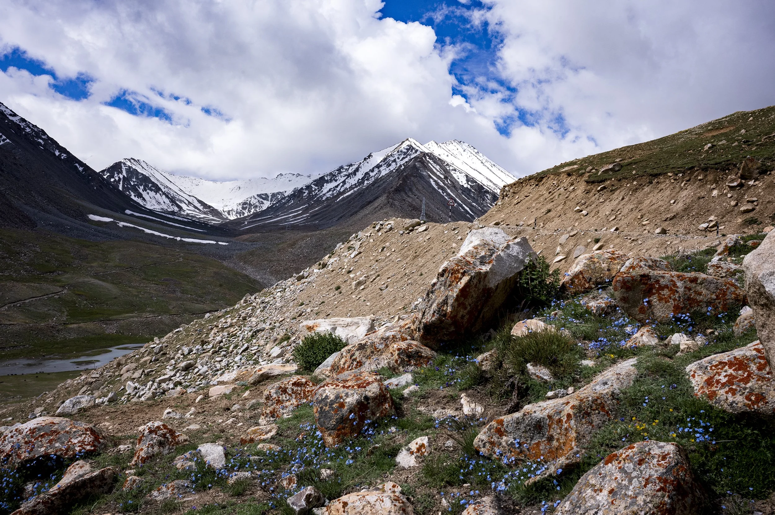 L1001041_2500.jpg