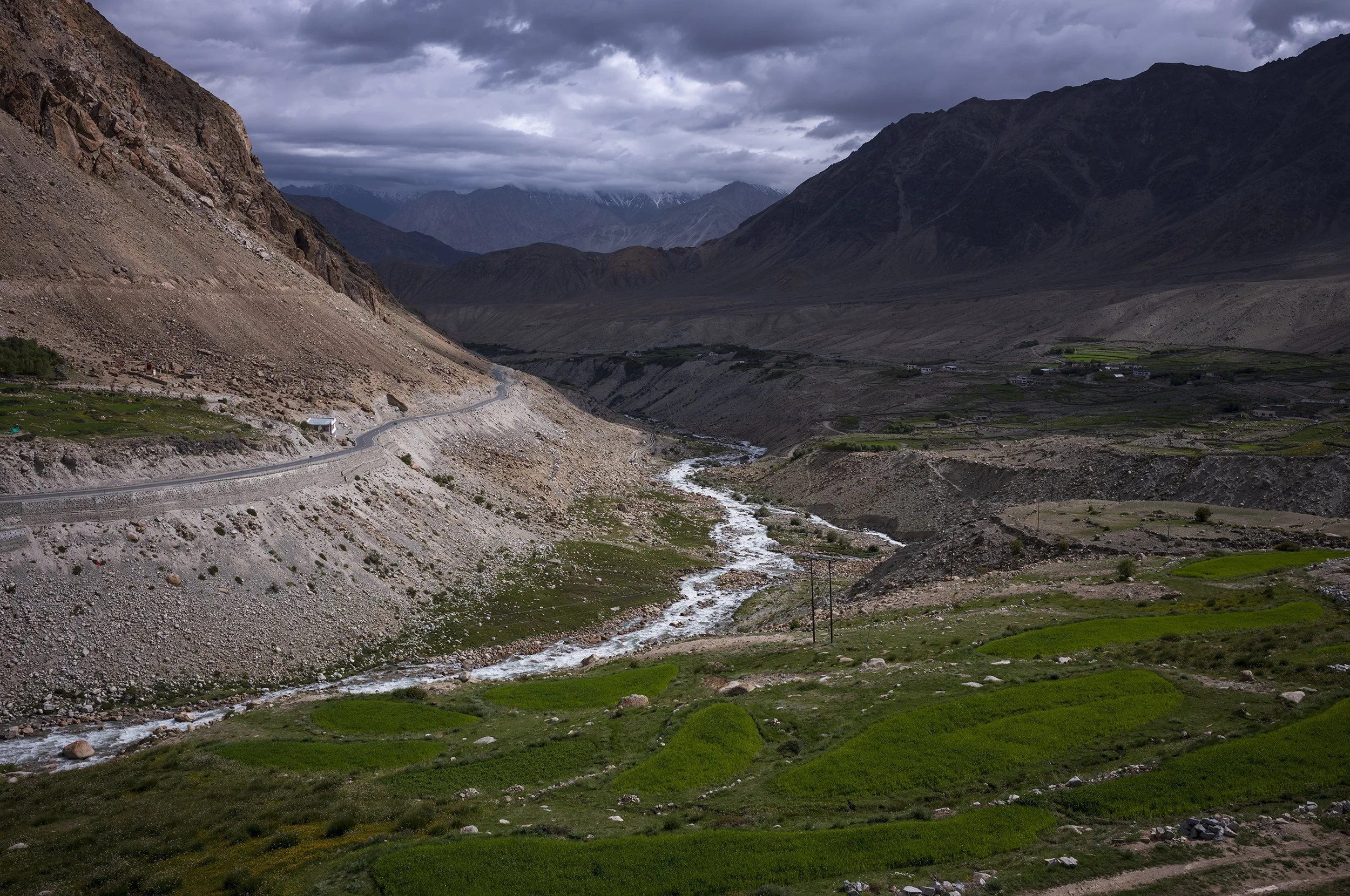 L1001010_2500.jpg