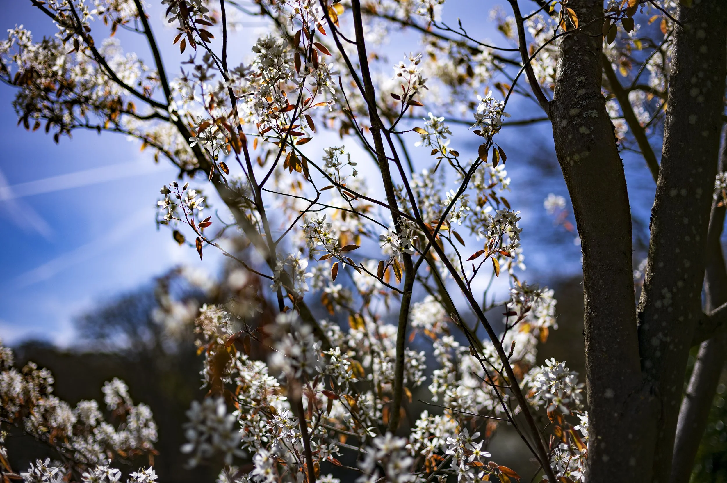 L1008715_2500.jpg