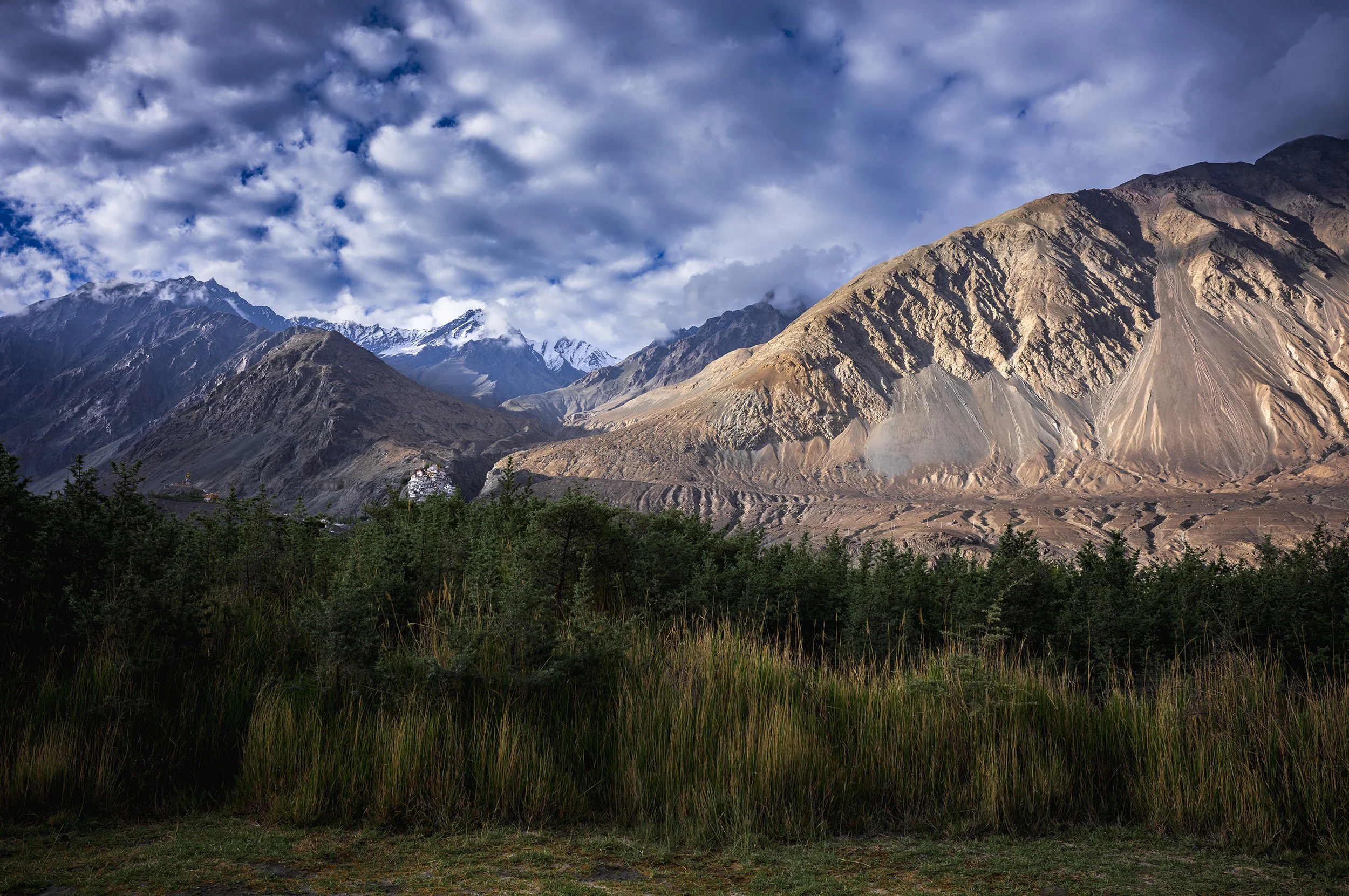 L1000555_2500.jpg