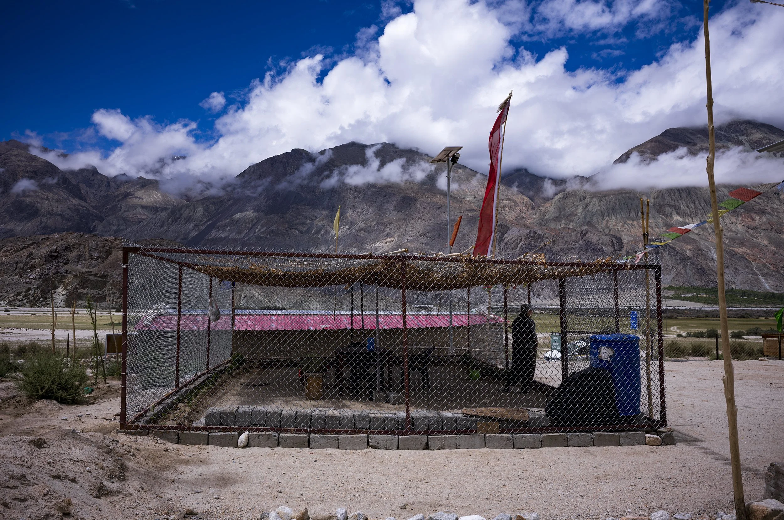 L1000588_2500.jpg