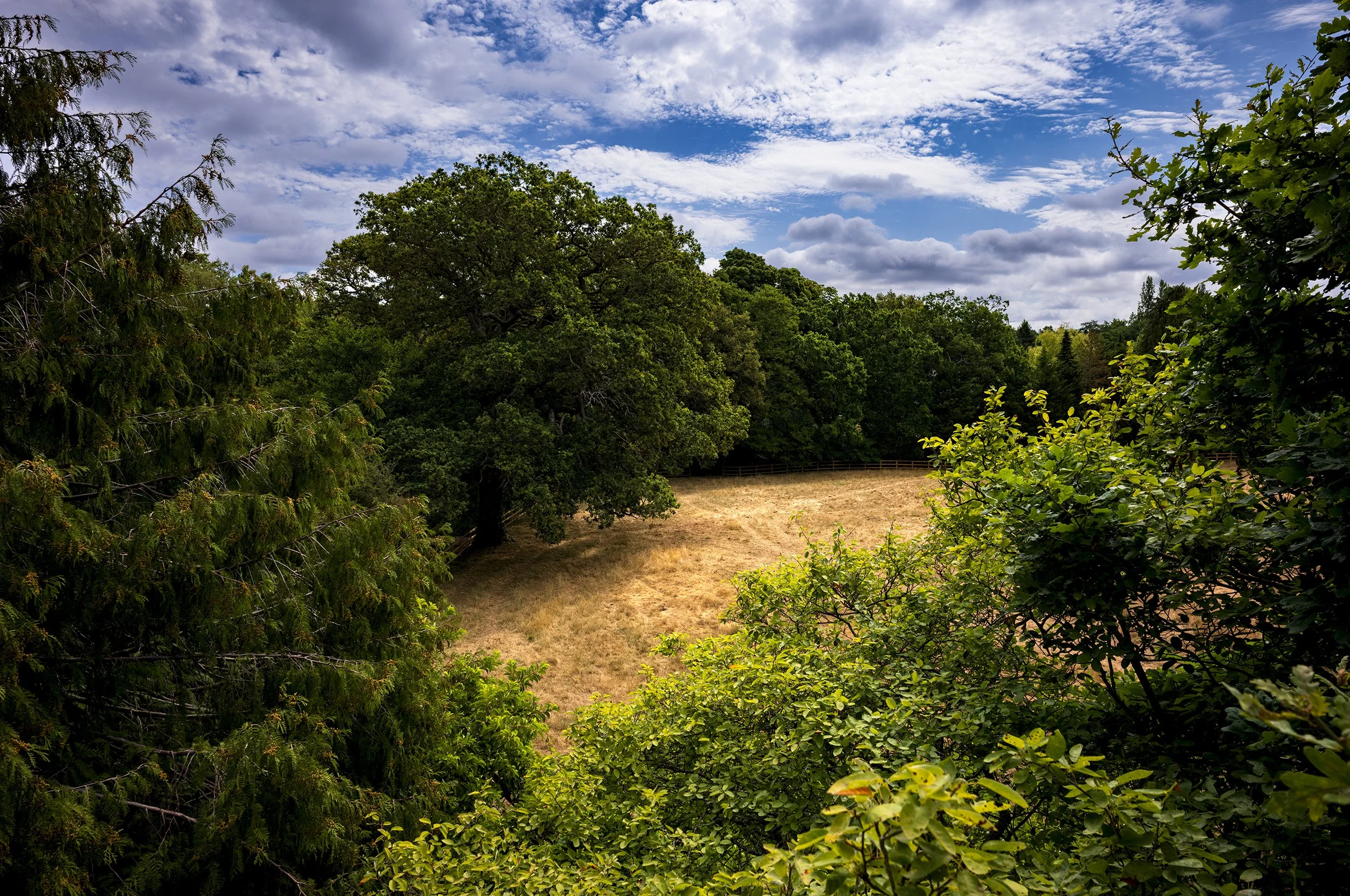 L1001246_2500.jpg
