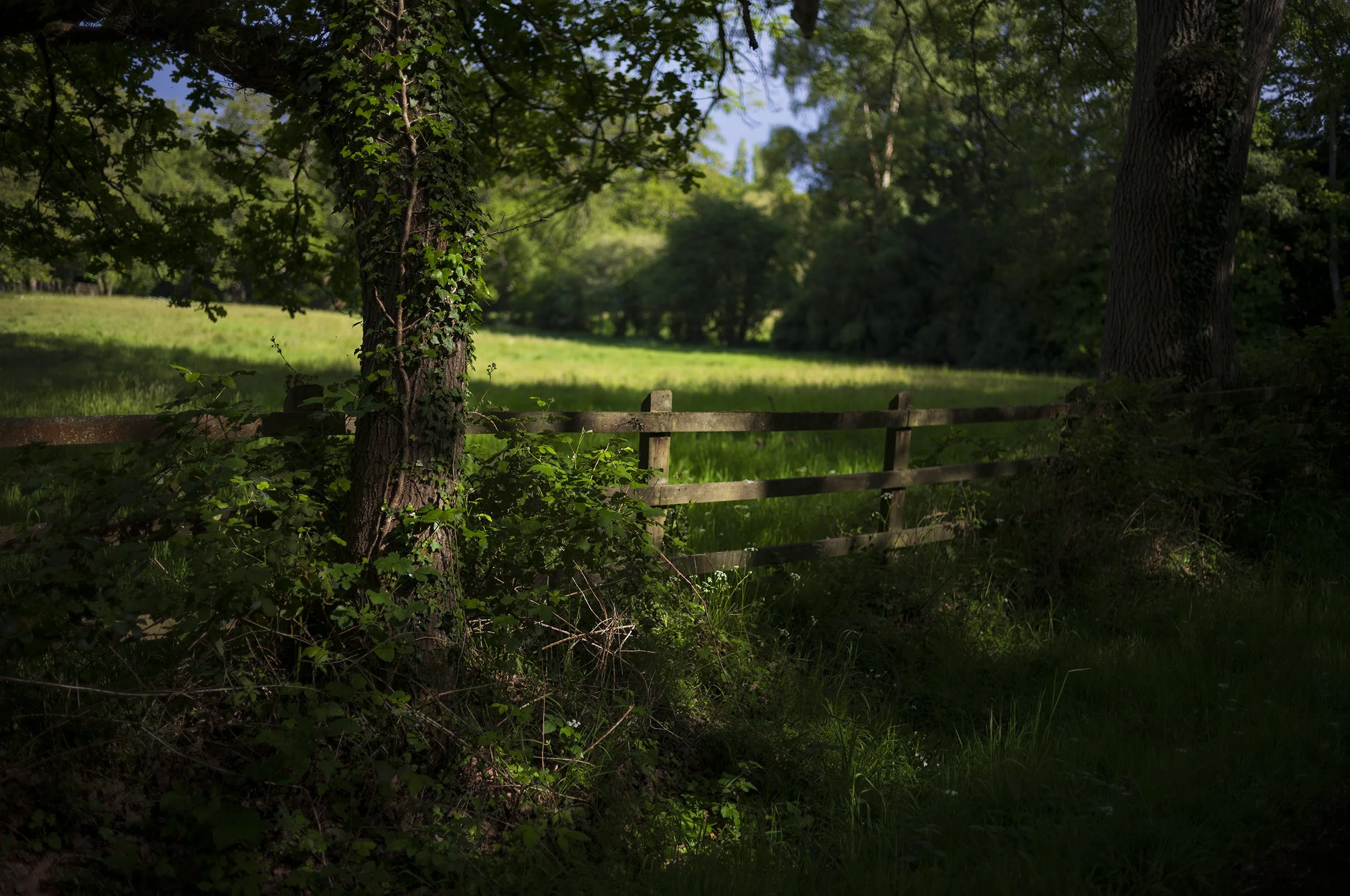 L1009412_2500.jpg