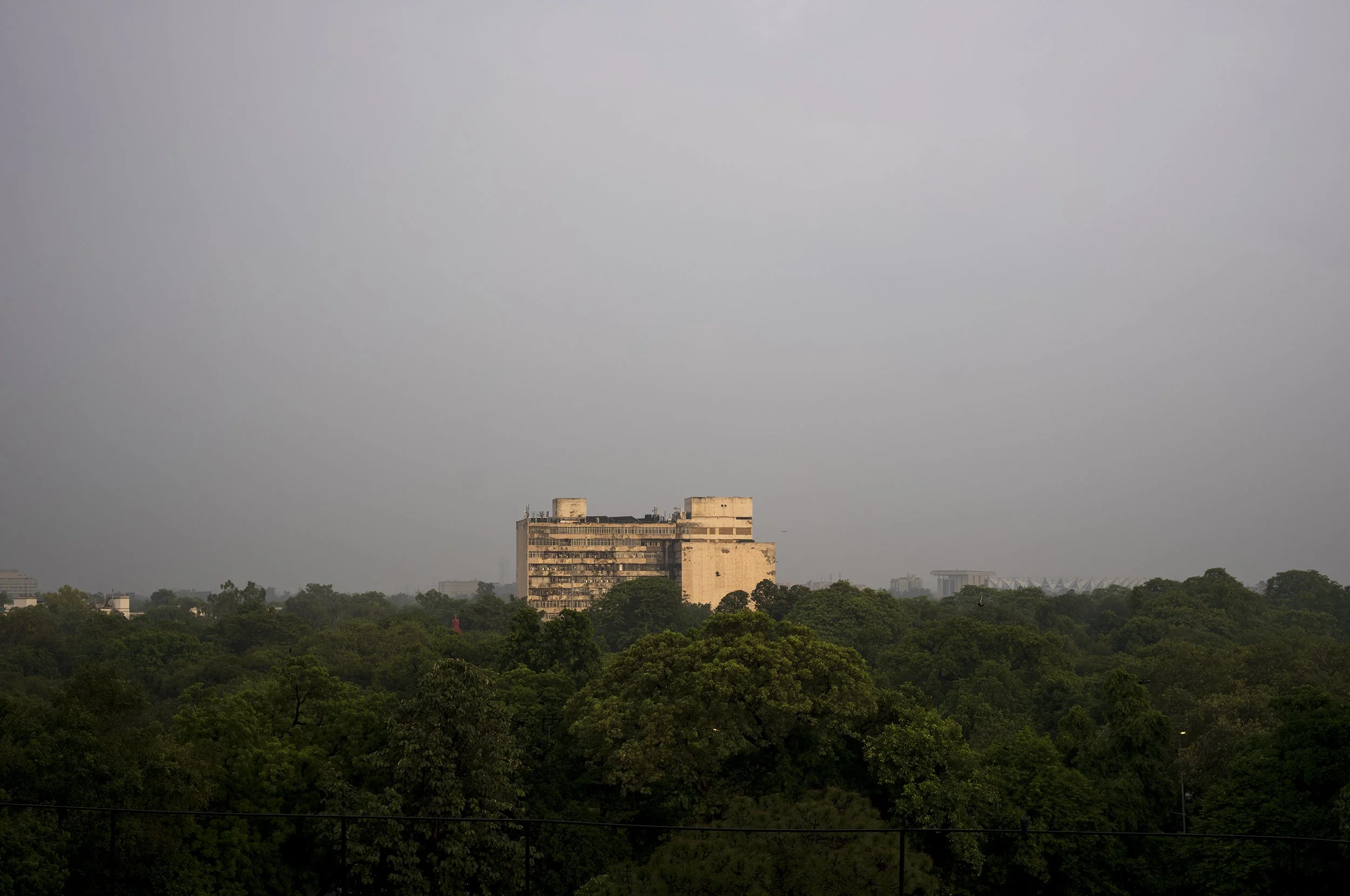 L1001102_2500.jpg