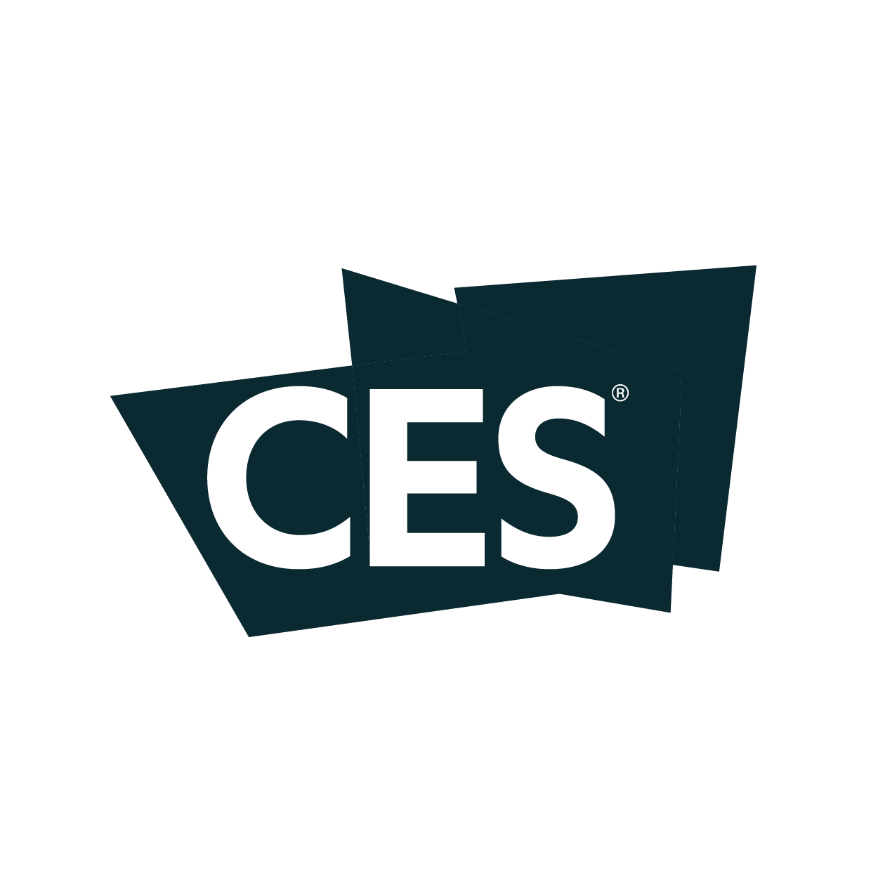 Website_Logos_CES.png