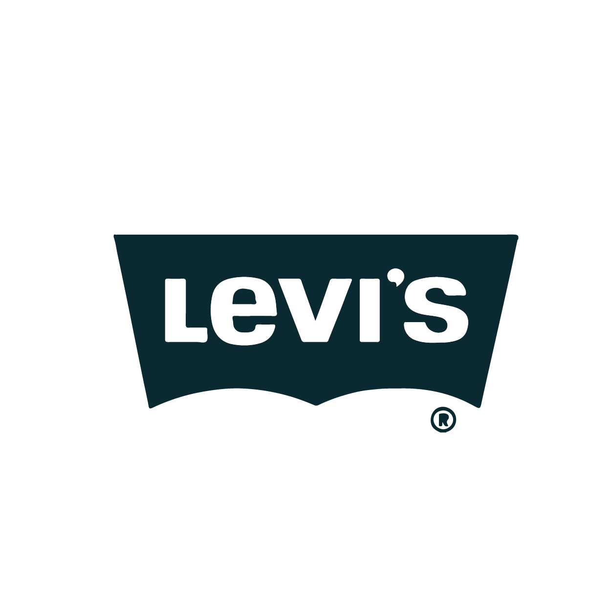 Website_Logos_Levis.png