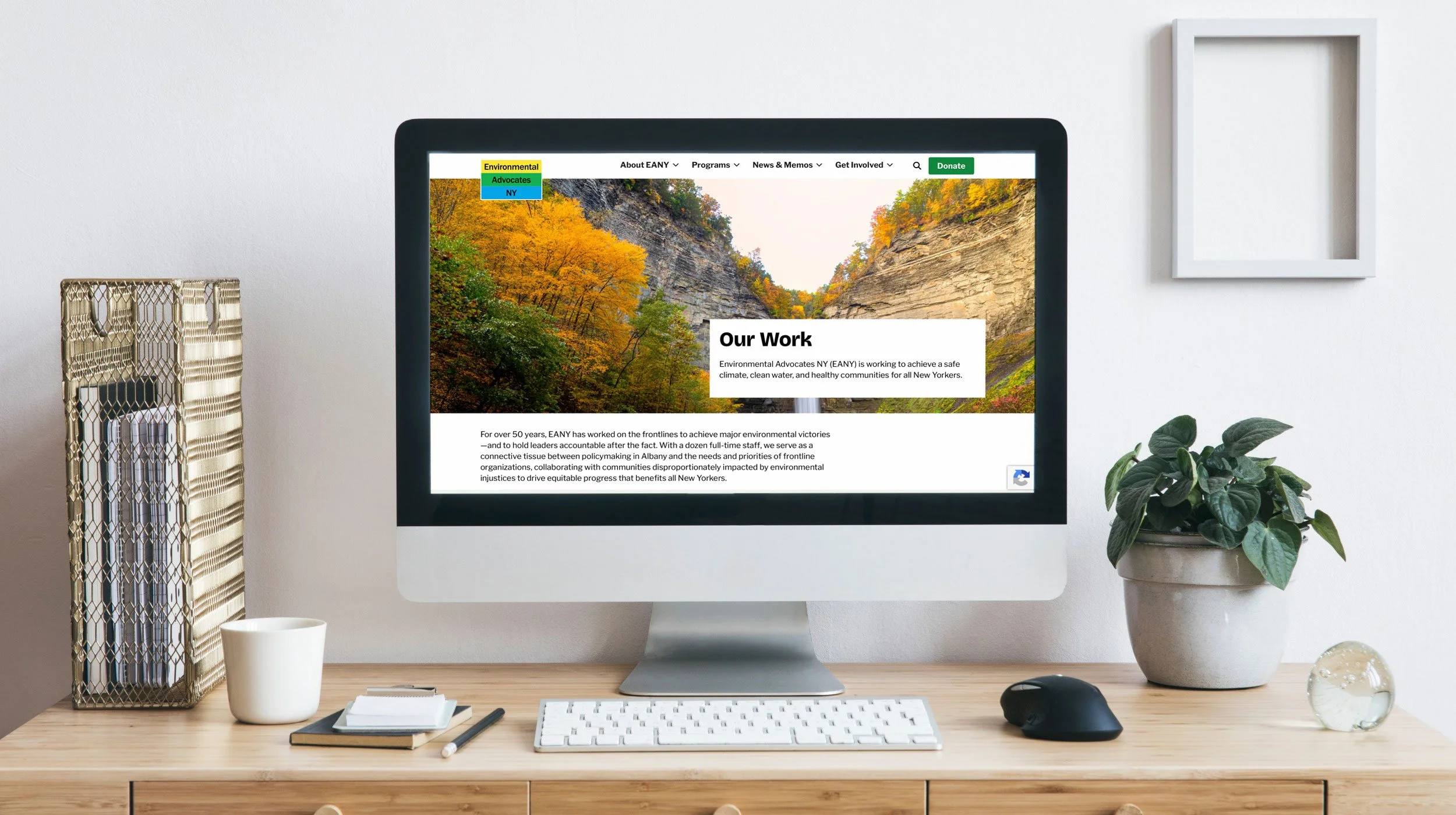 EANY-Desktop-MockUp-1.jpg