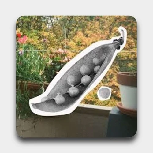 A sock with tennis balls inside, placed on a window sill near plants and a garden background.