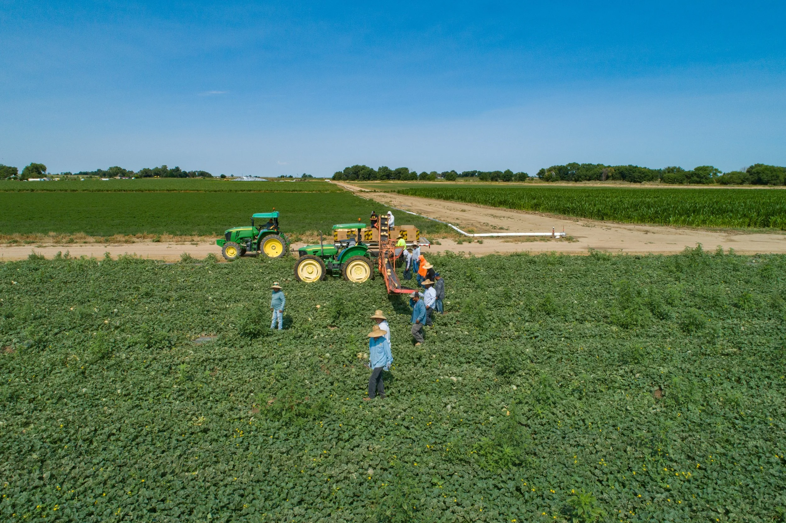 New Report in Colorado Springs Shows Strong Public Support for Preserving Farms and Agriculture