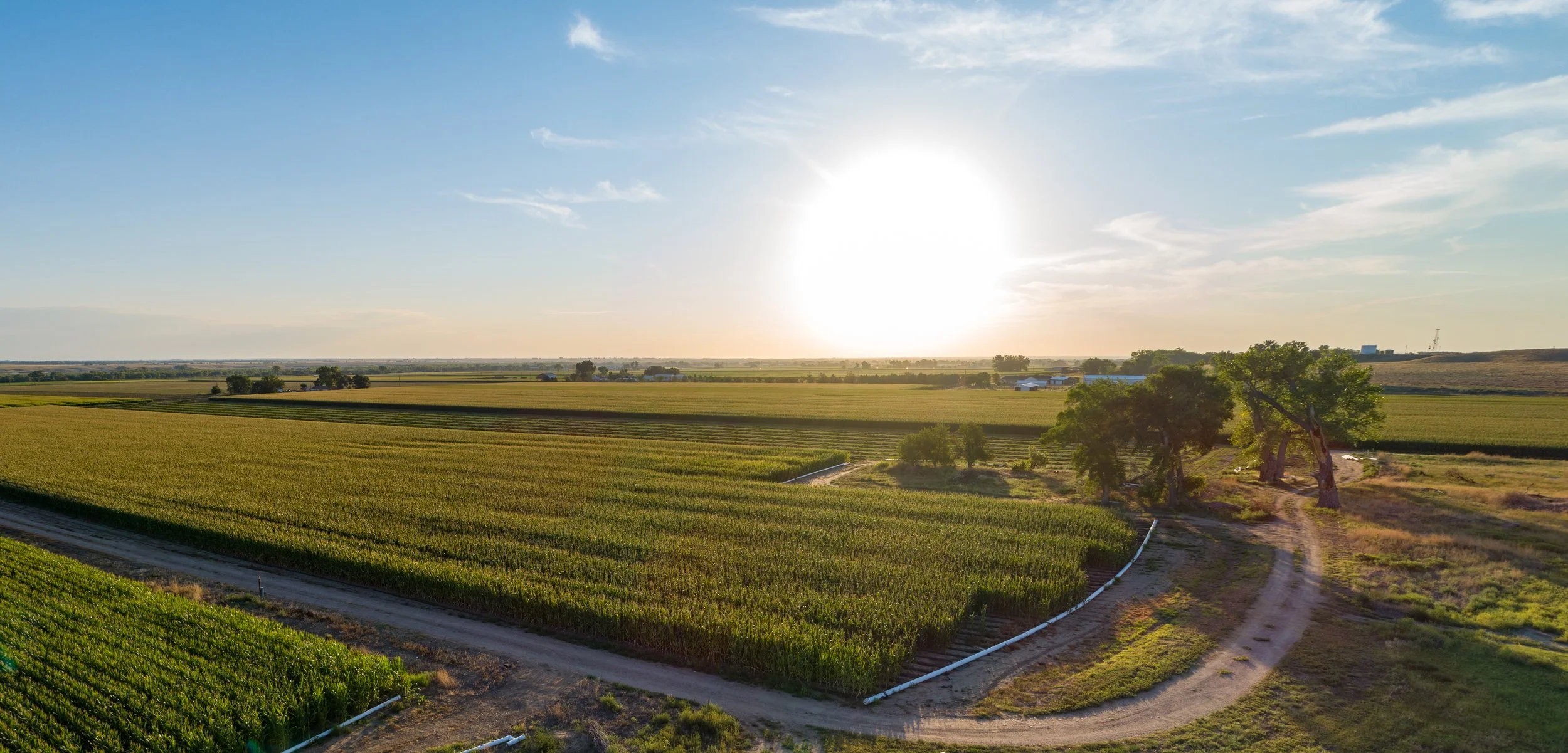 A Pivotal Year for Water and Agriculture in the Lower Ark