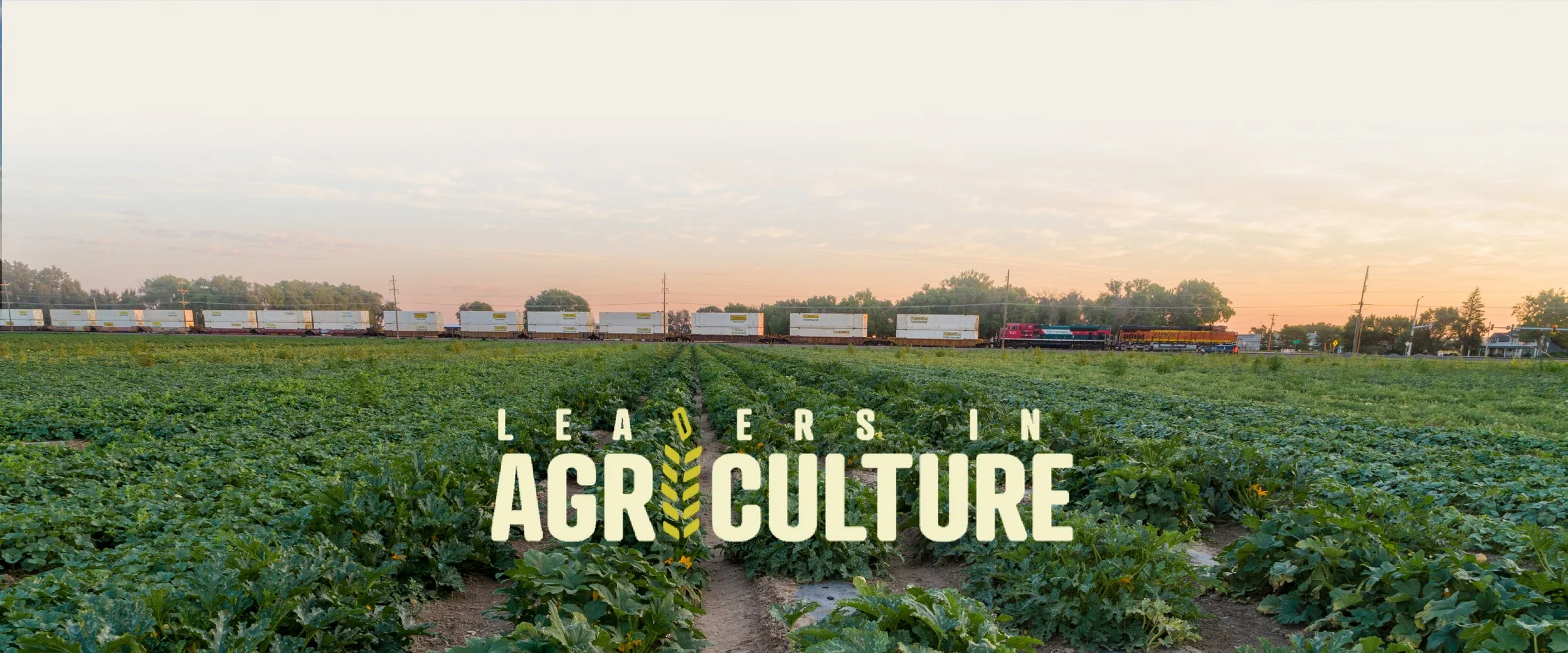 Celebrating Colorado’s ag Leaders