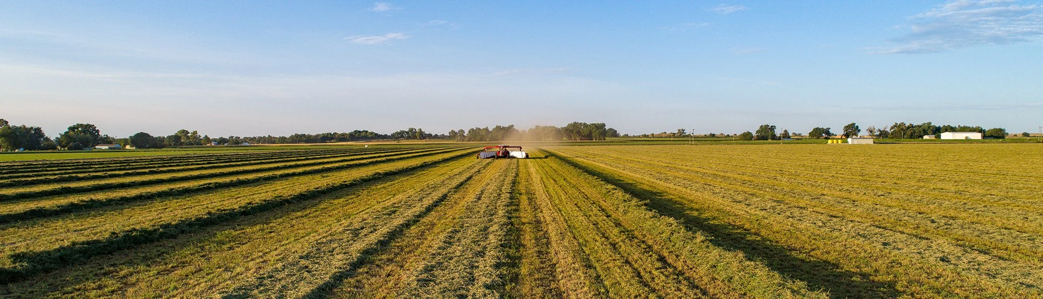 EDITORIAL: Ag remains a cornerstone, linchpin of Colorado’s economy