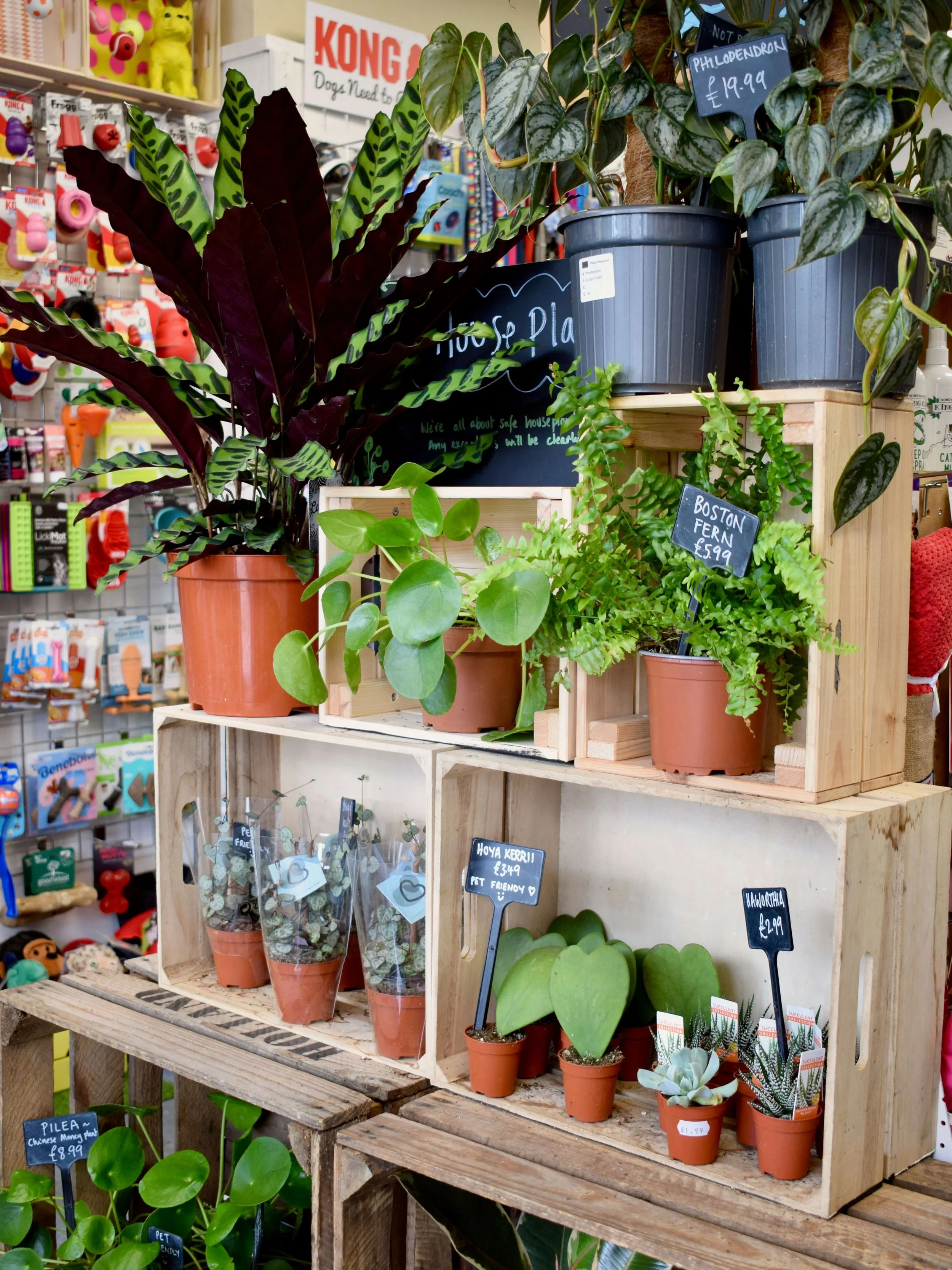 Nellys_Shop photos_0575.jpeg