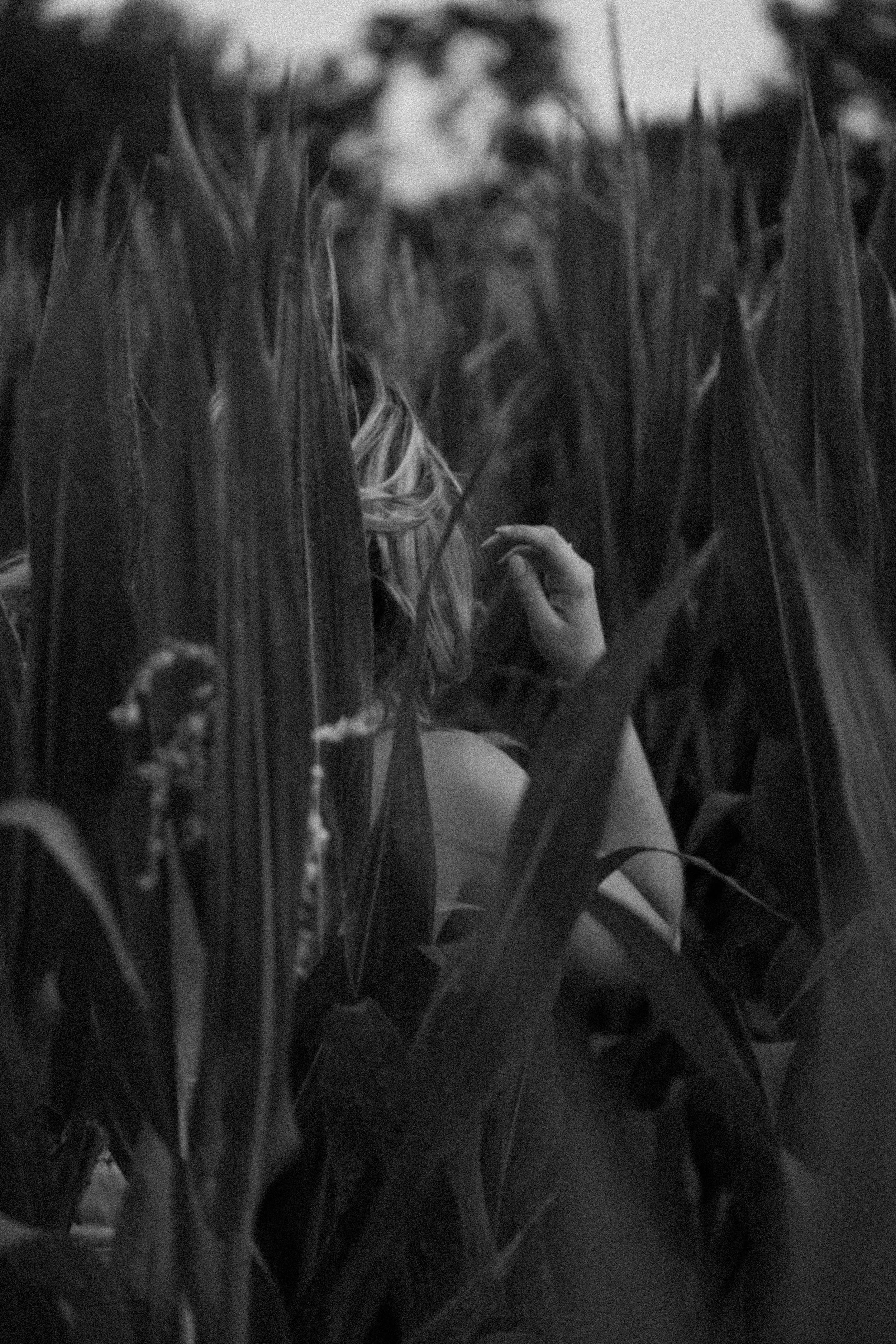 femme de dos elle est nue dans un champ de mais photo en noir et blanc